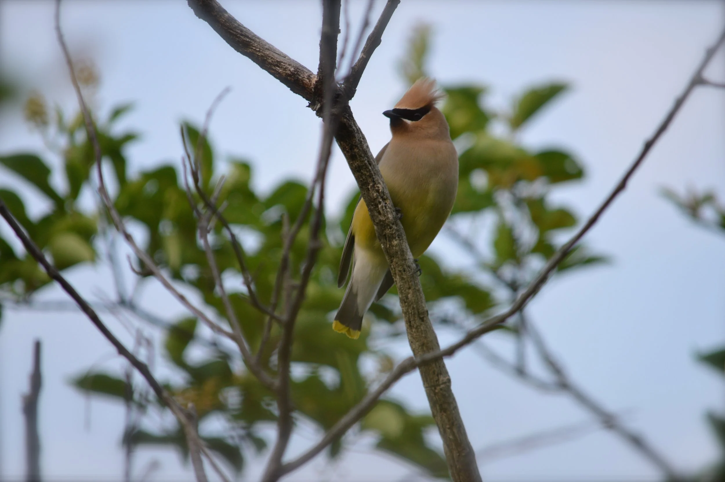DSC_0721.jpg