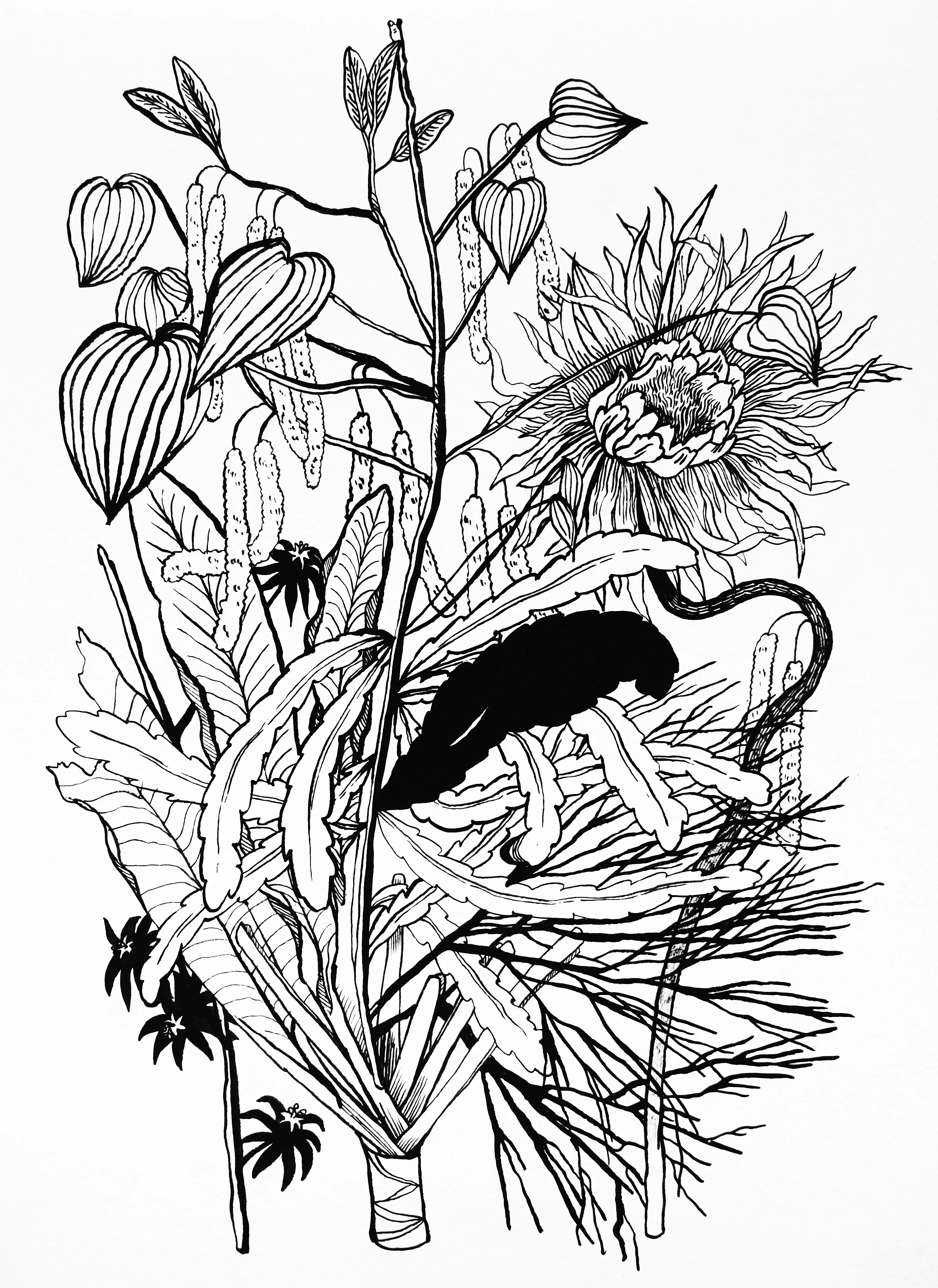 The Un/Natural Series - Drawing #2