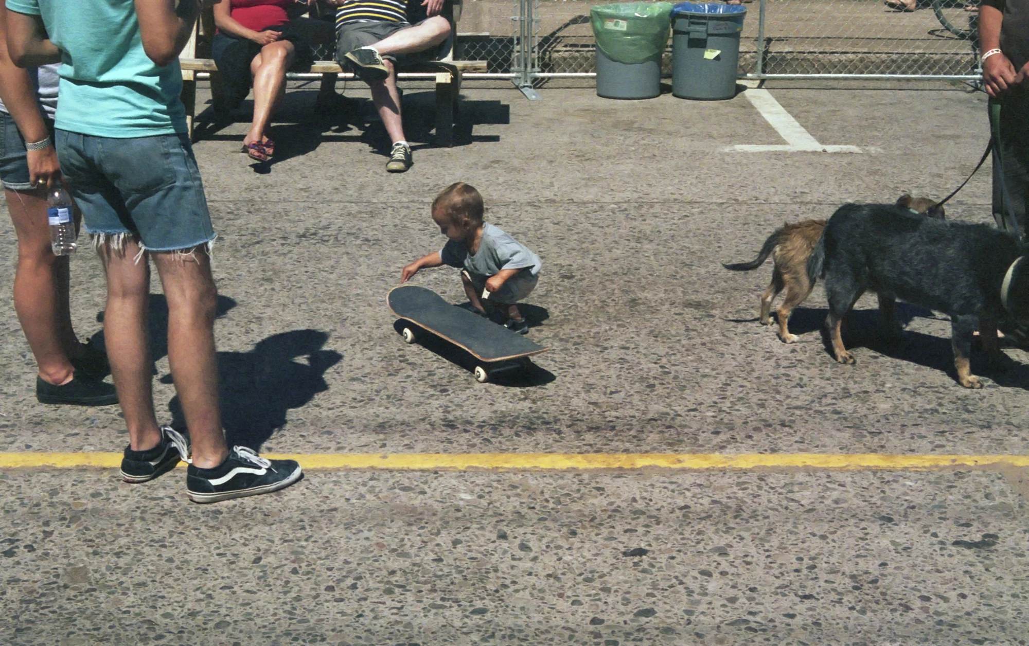 Lil' Skateboarder
