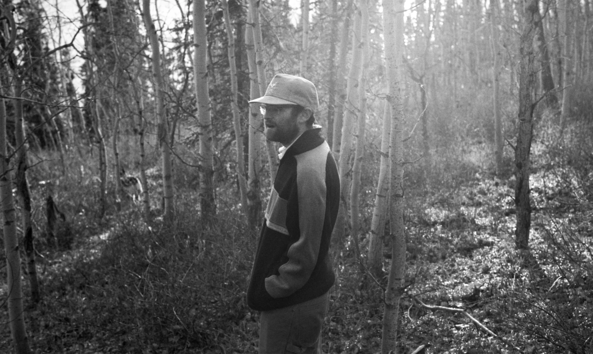 Al & The Woods