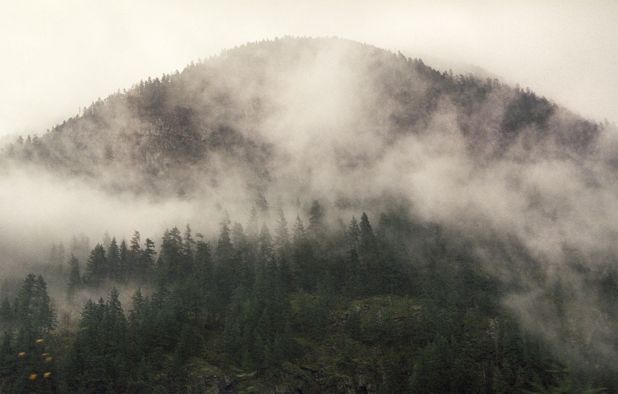 Misty Mountain