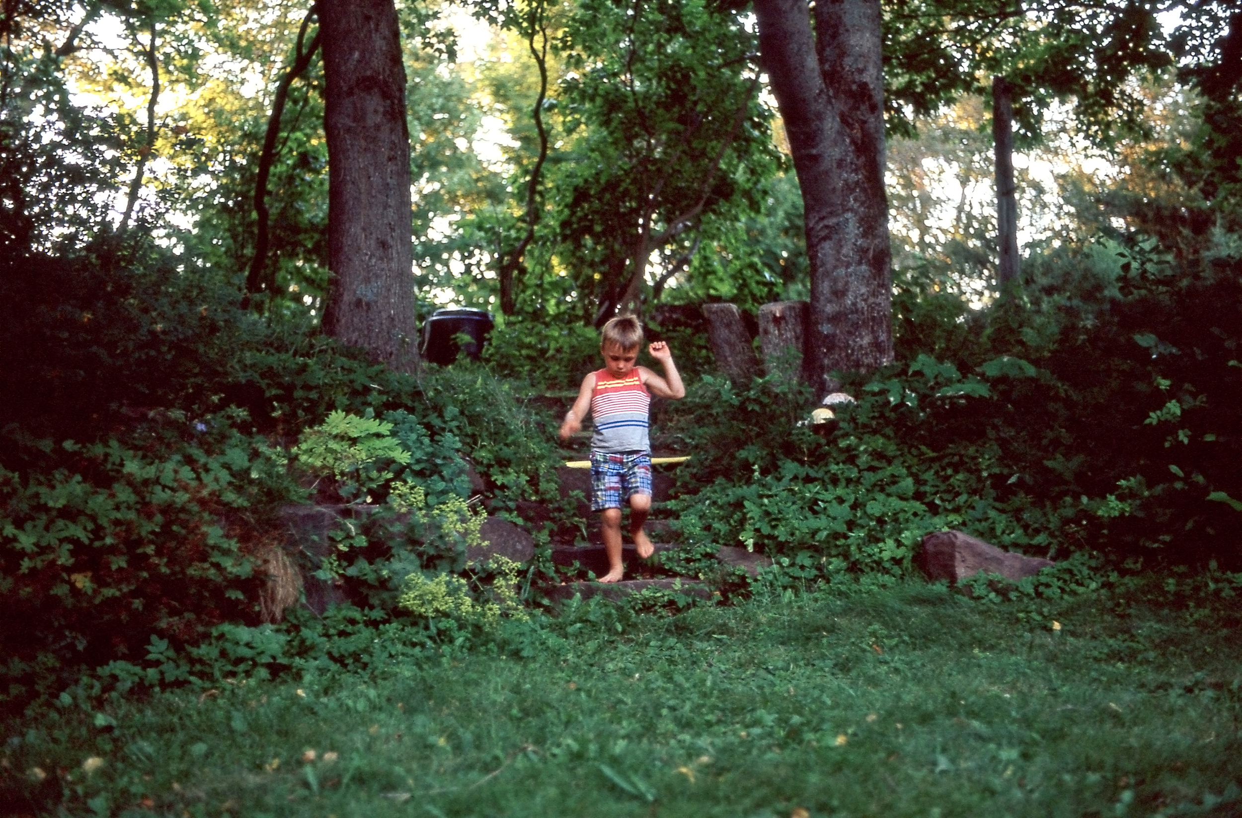 Lost Boy