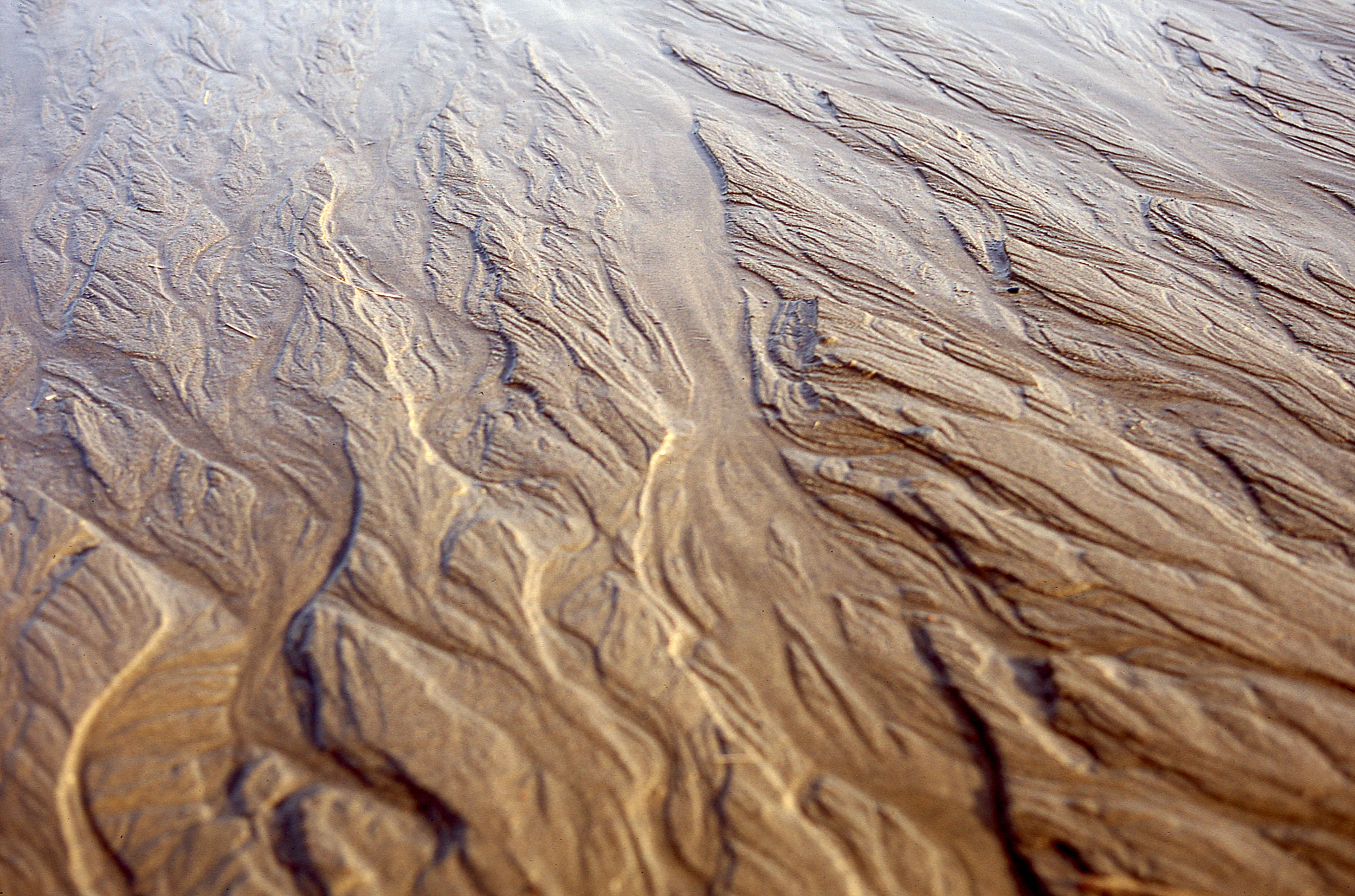 Traces