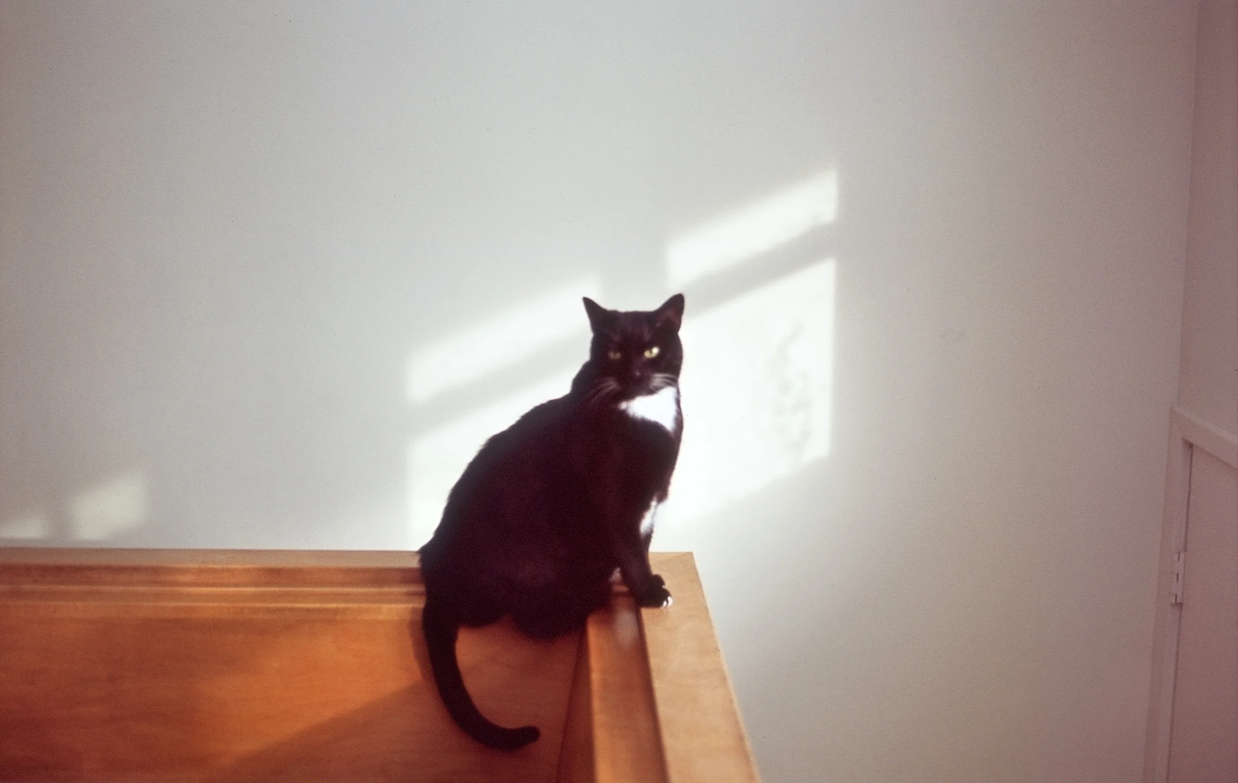 Pete