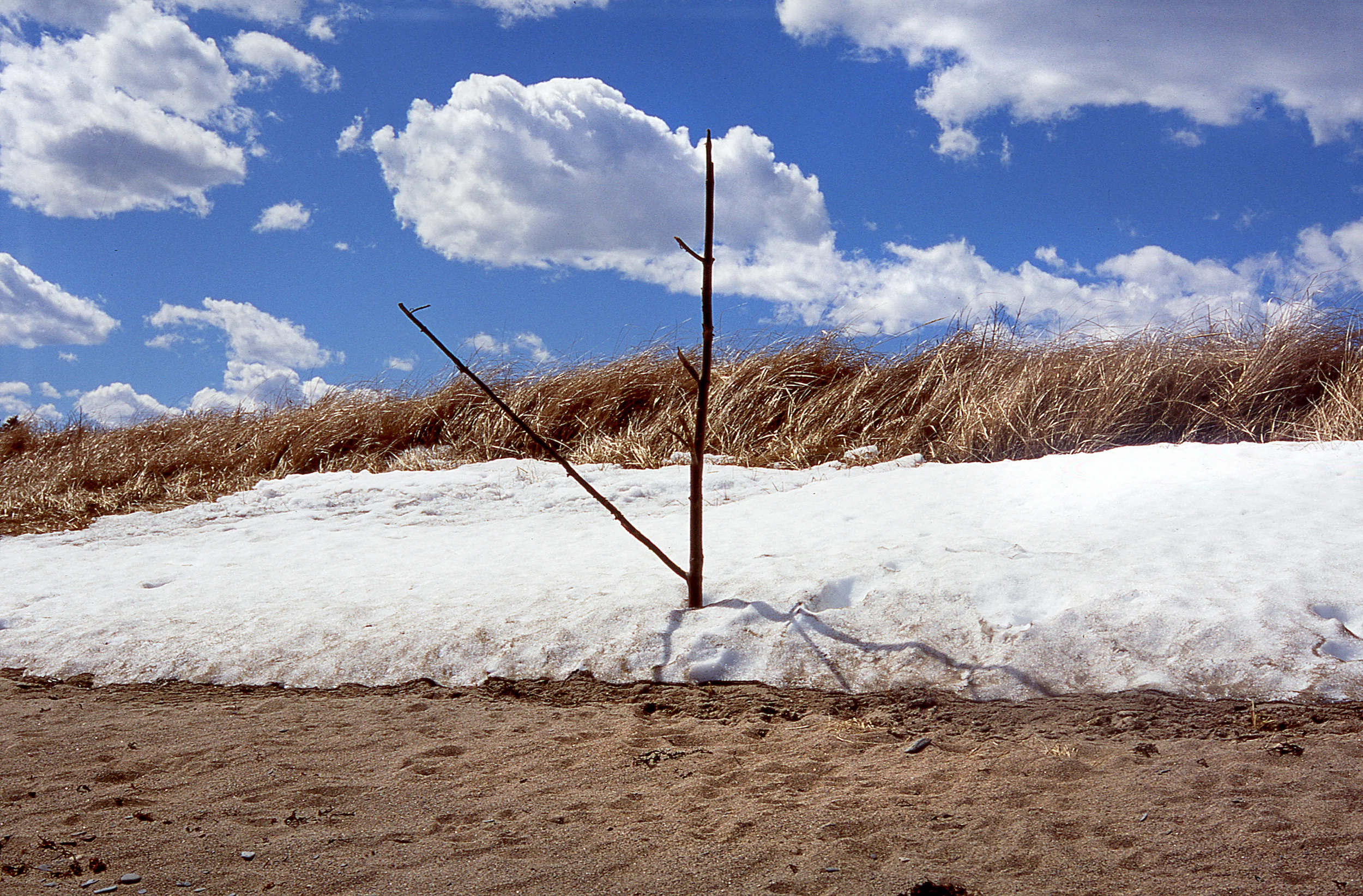 Sun Dial