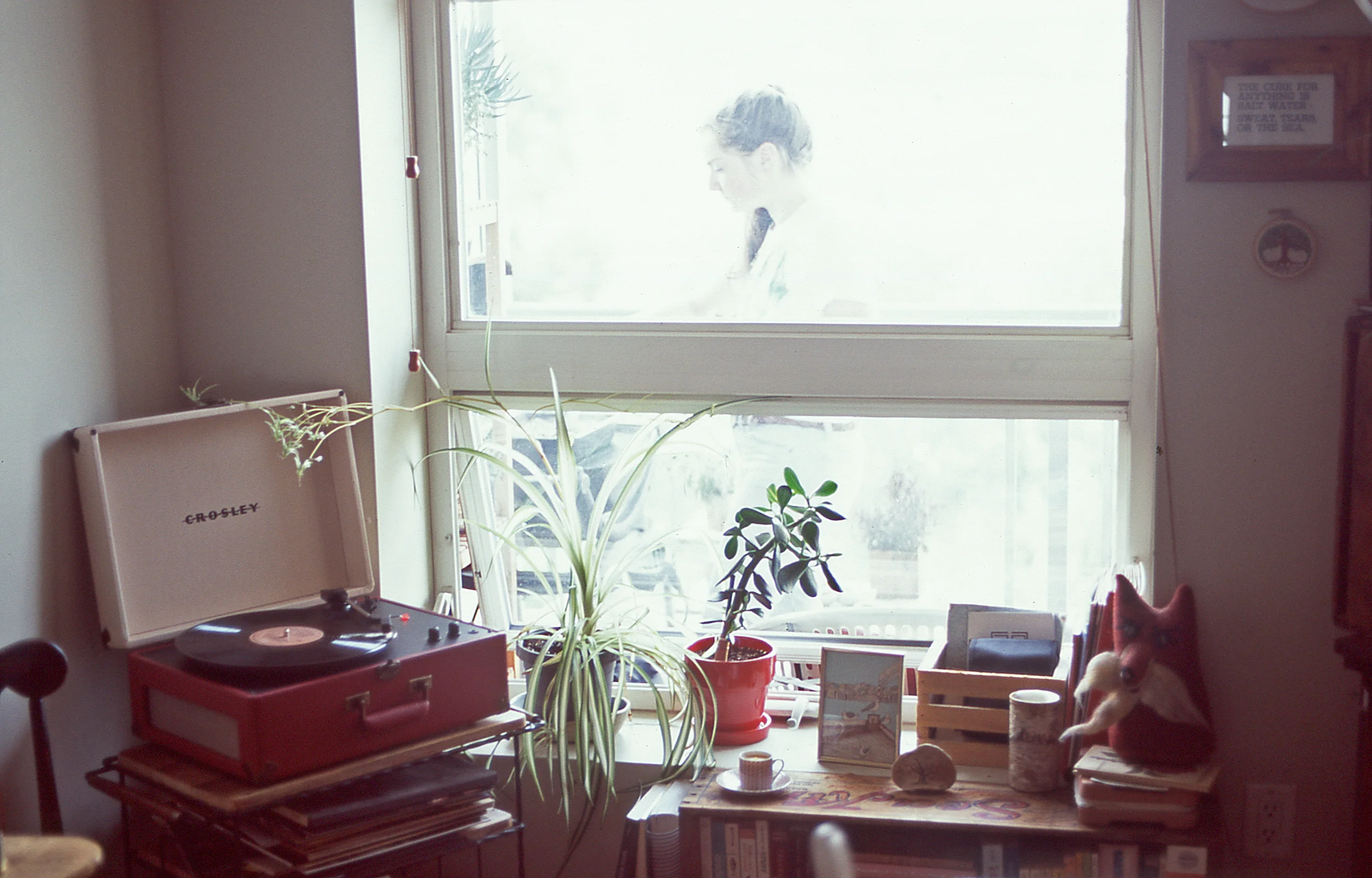 Window Framed