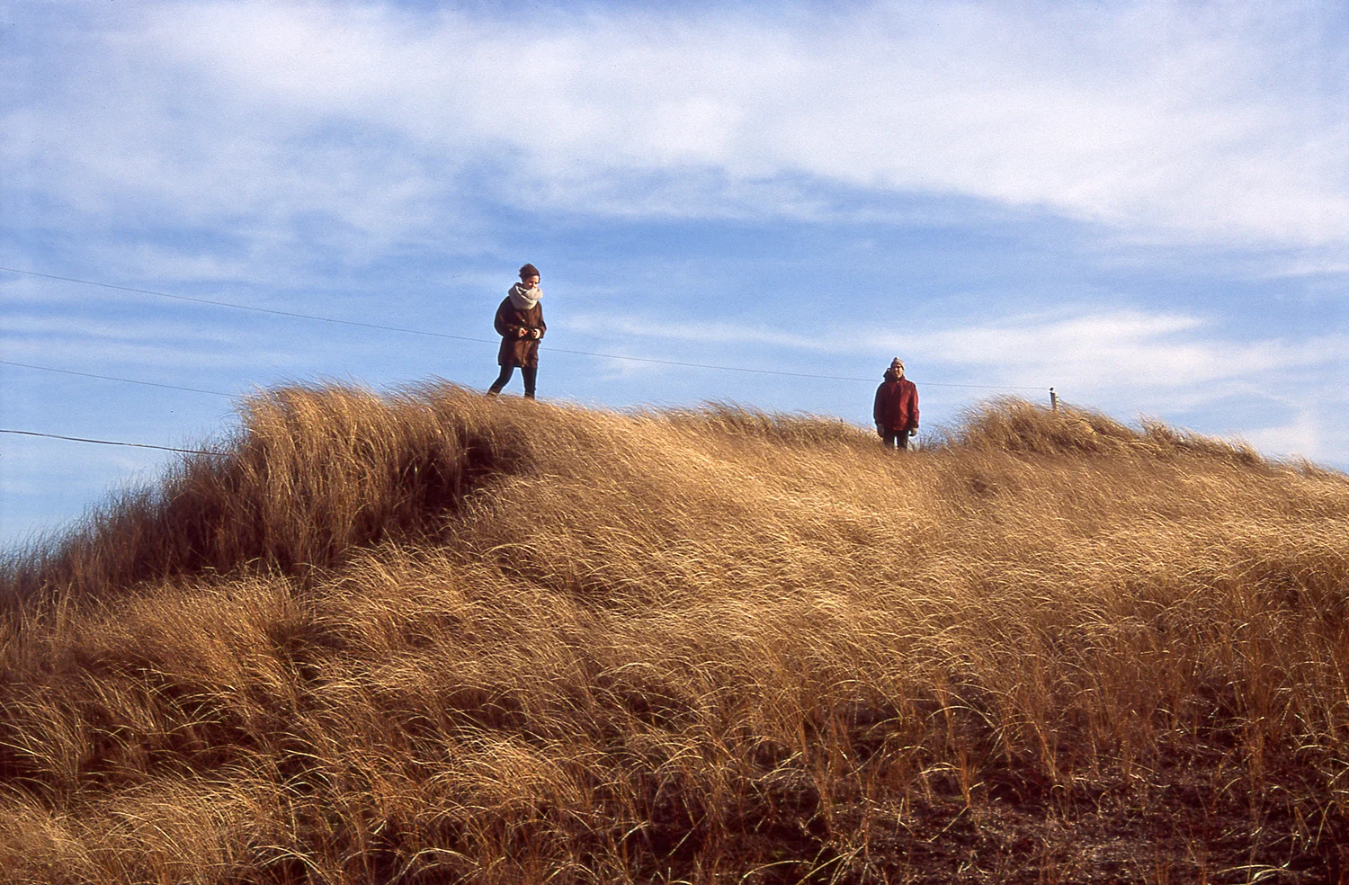 Figures in the Landscape