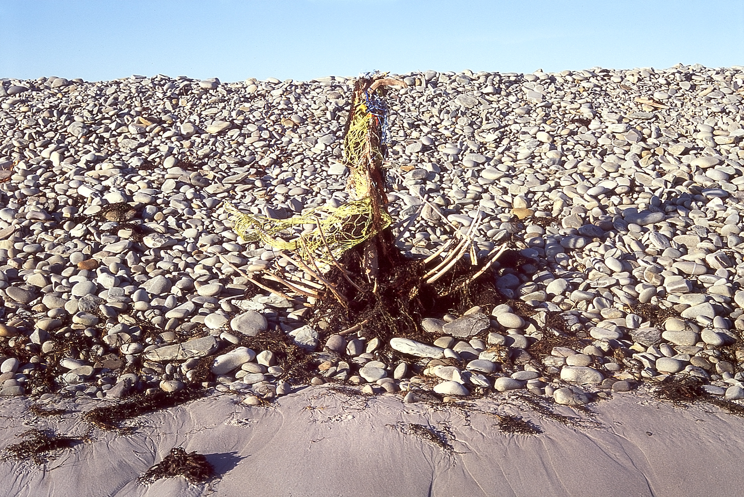 Shoreline Sculpture