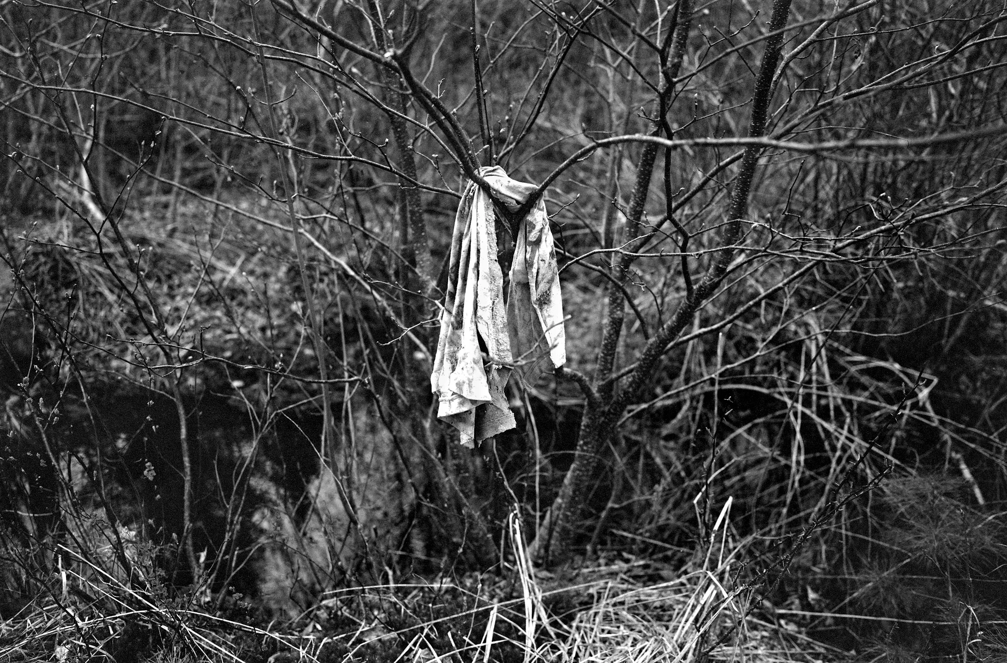 Bush Rag - Part 1