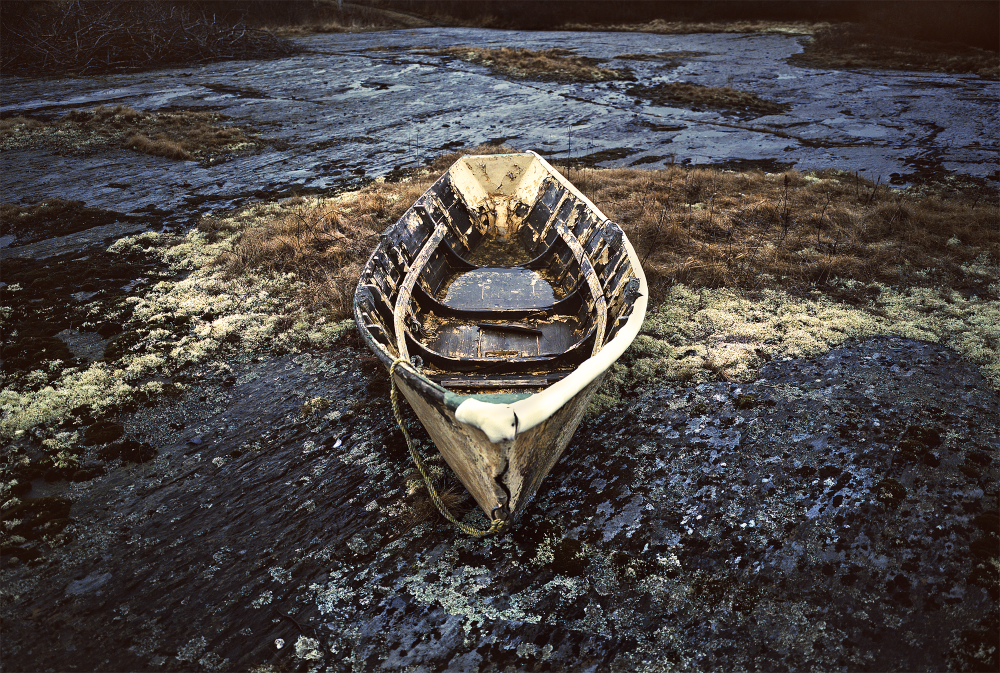 Old Dory