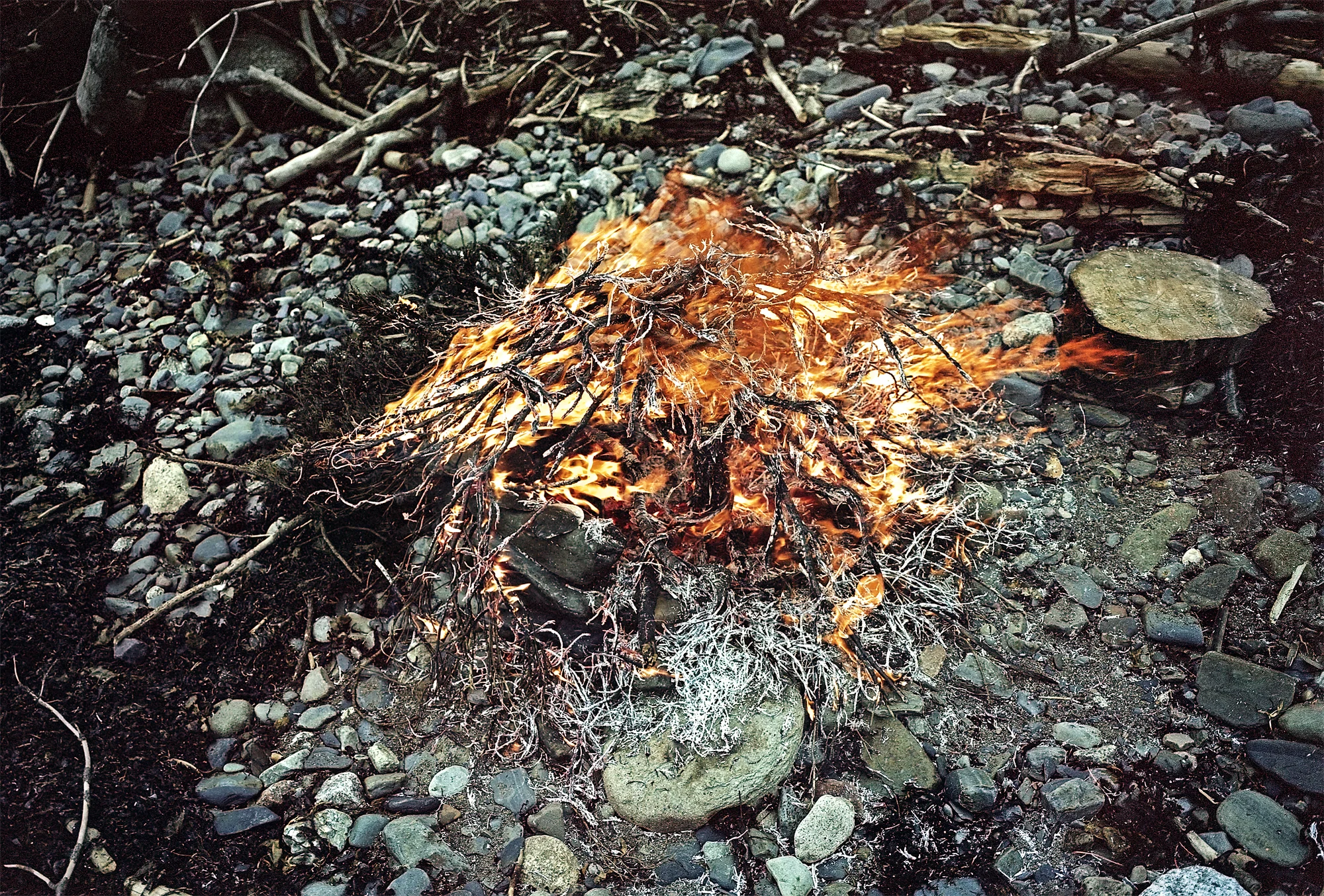 Beach Fire