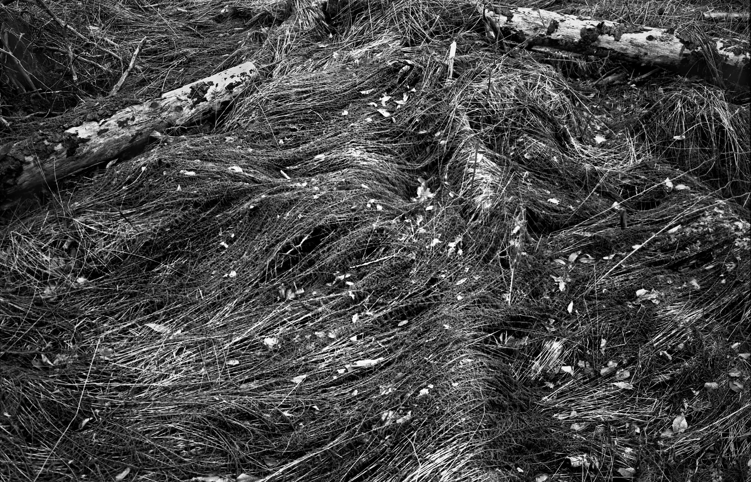 Waves in the Grass - Part 2