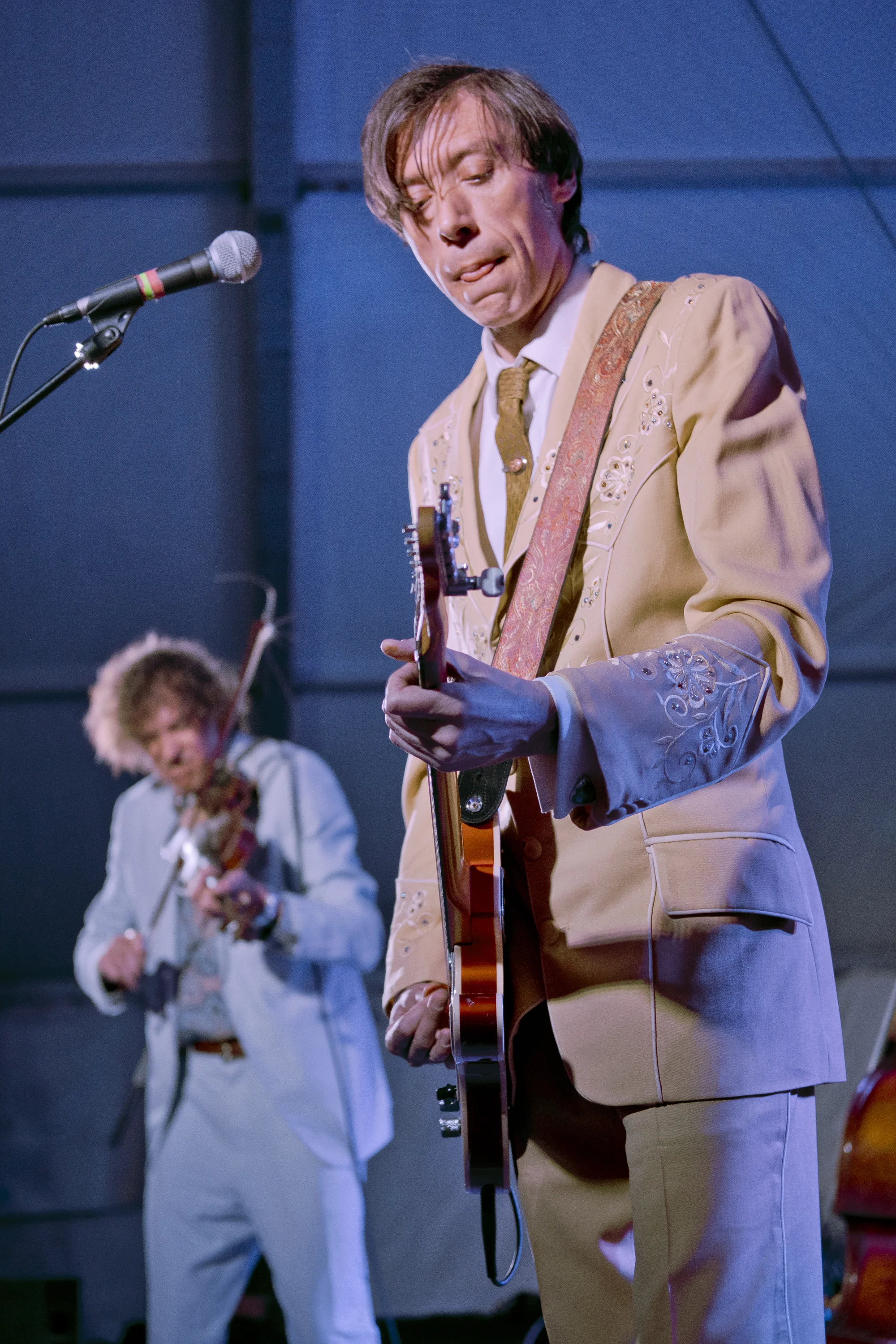 The Sadies
