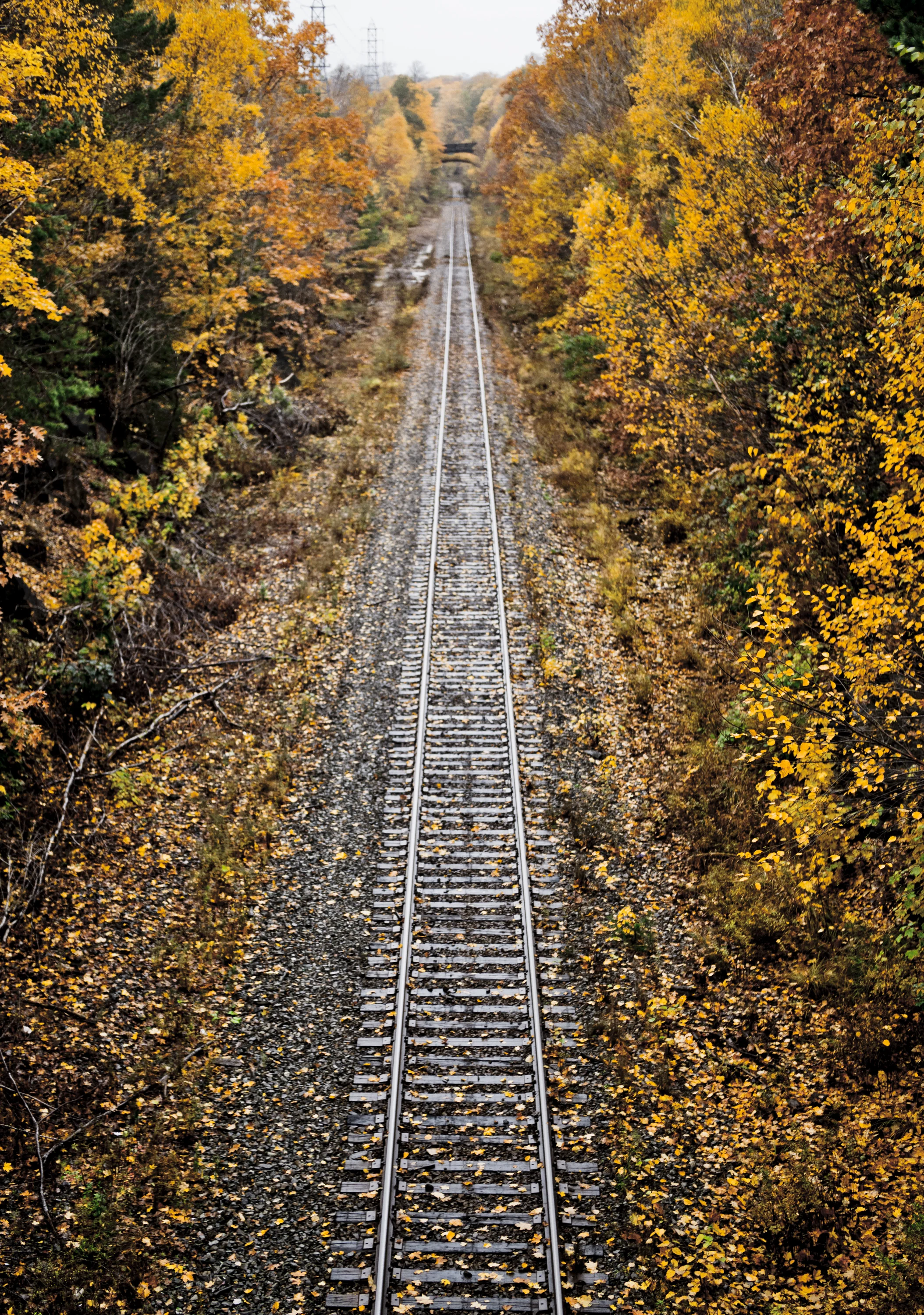 Autumn2018_9.jpg