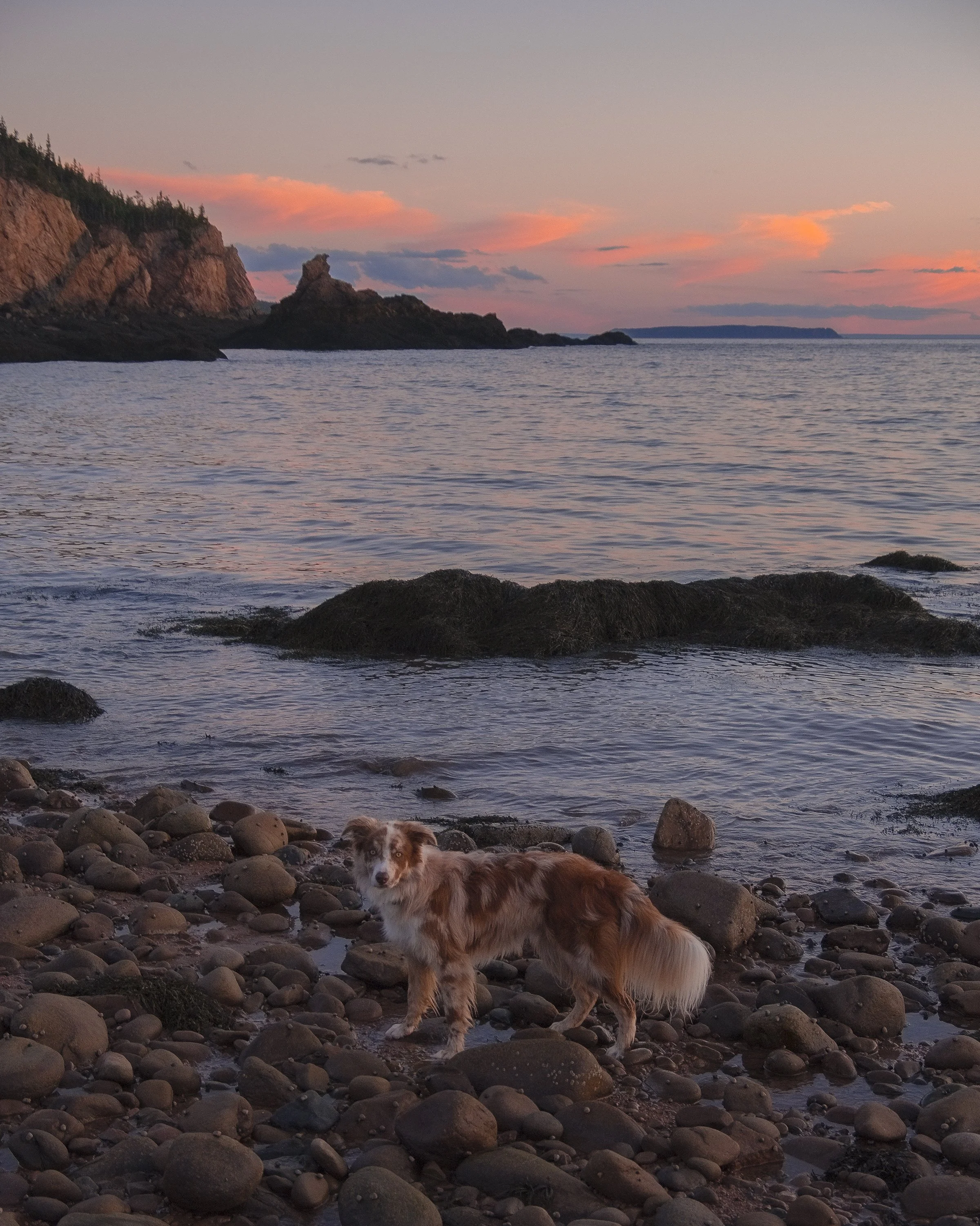 CapeChignecto-101.jpg