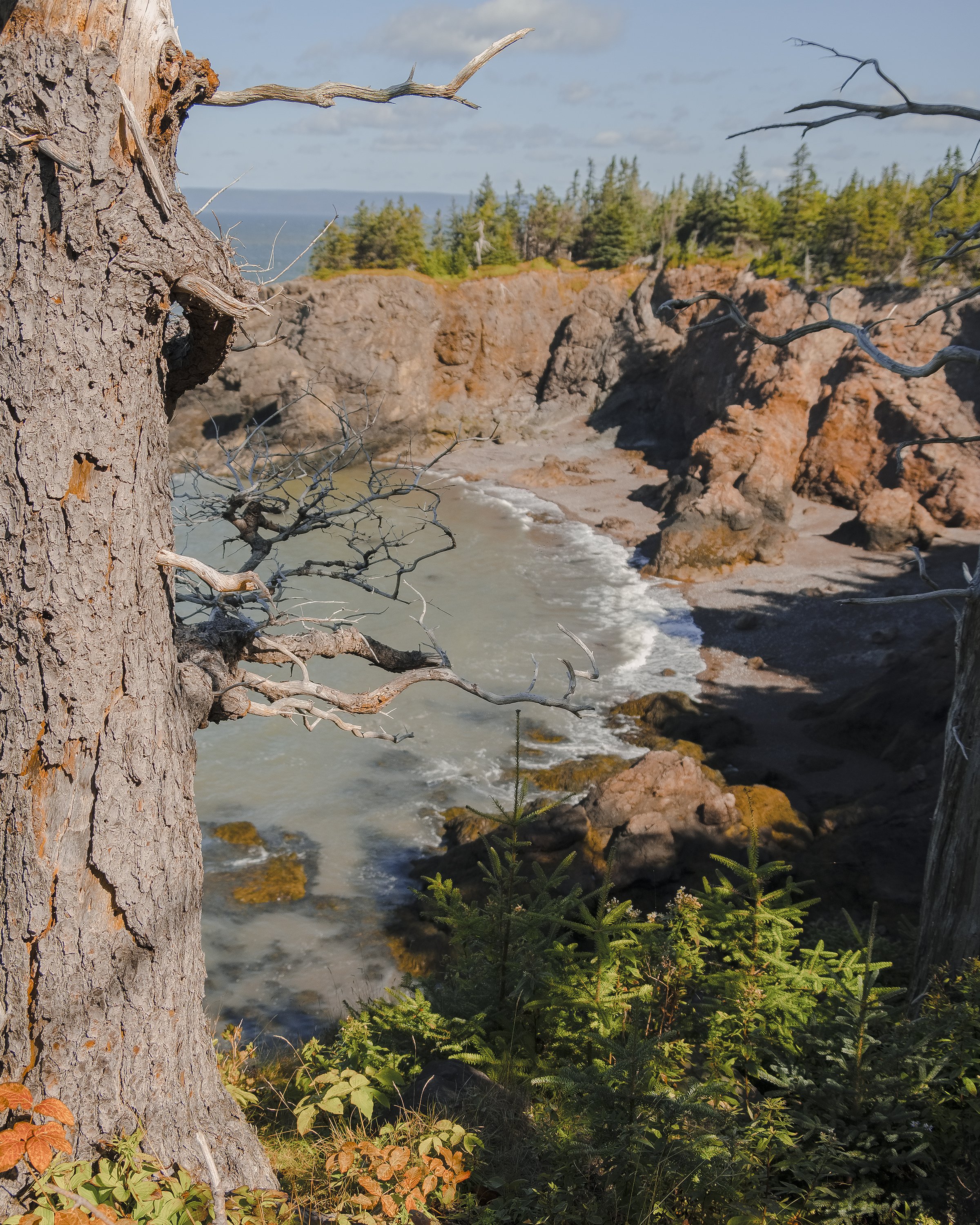 CapeChignecto-111.jpg