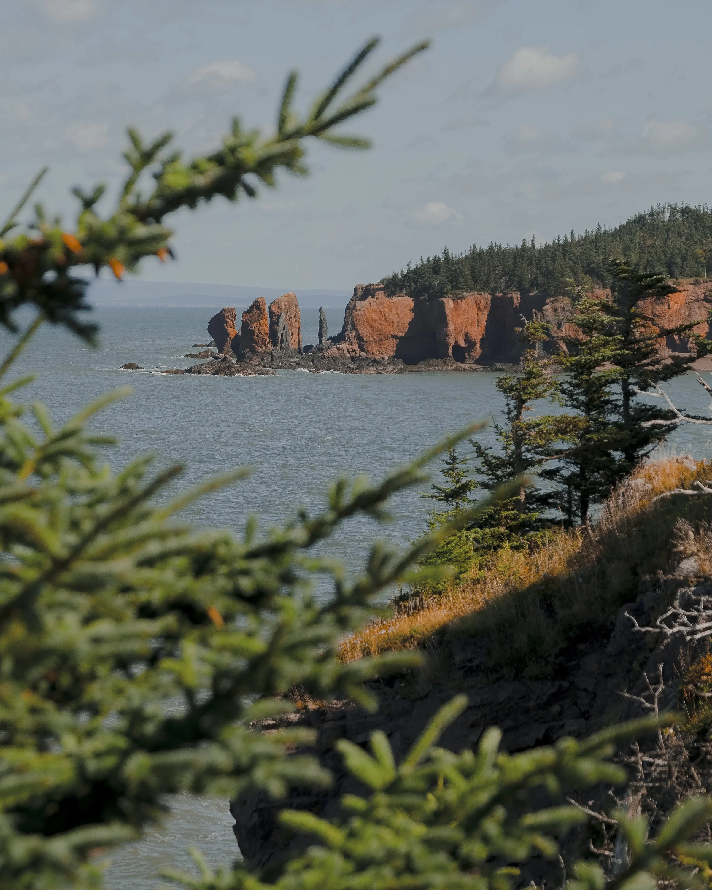 CapeChignecto-116.jpg