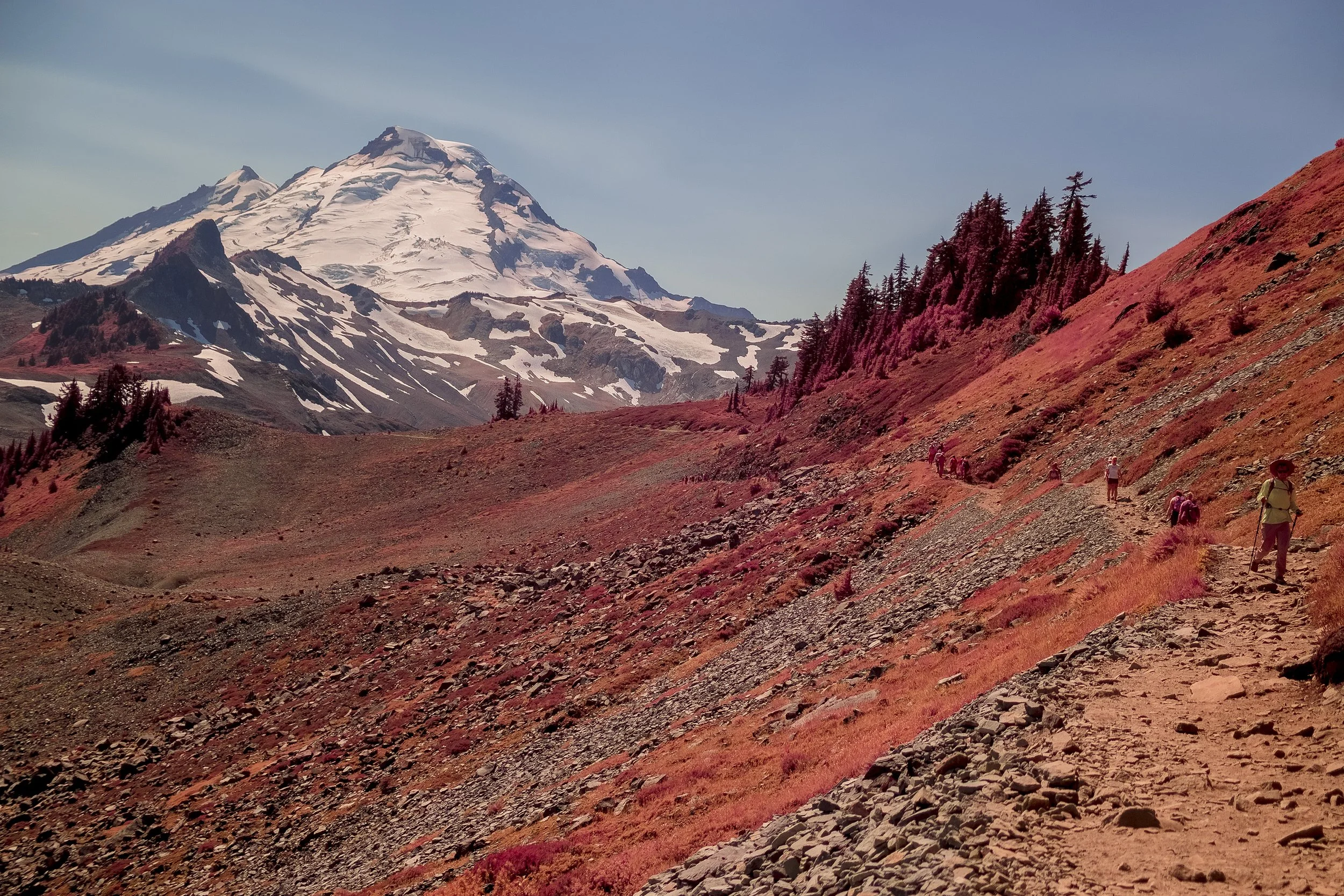 MountBakerIR-40.jpg