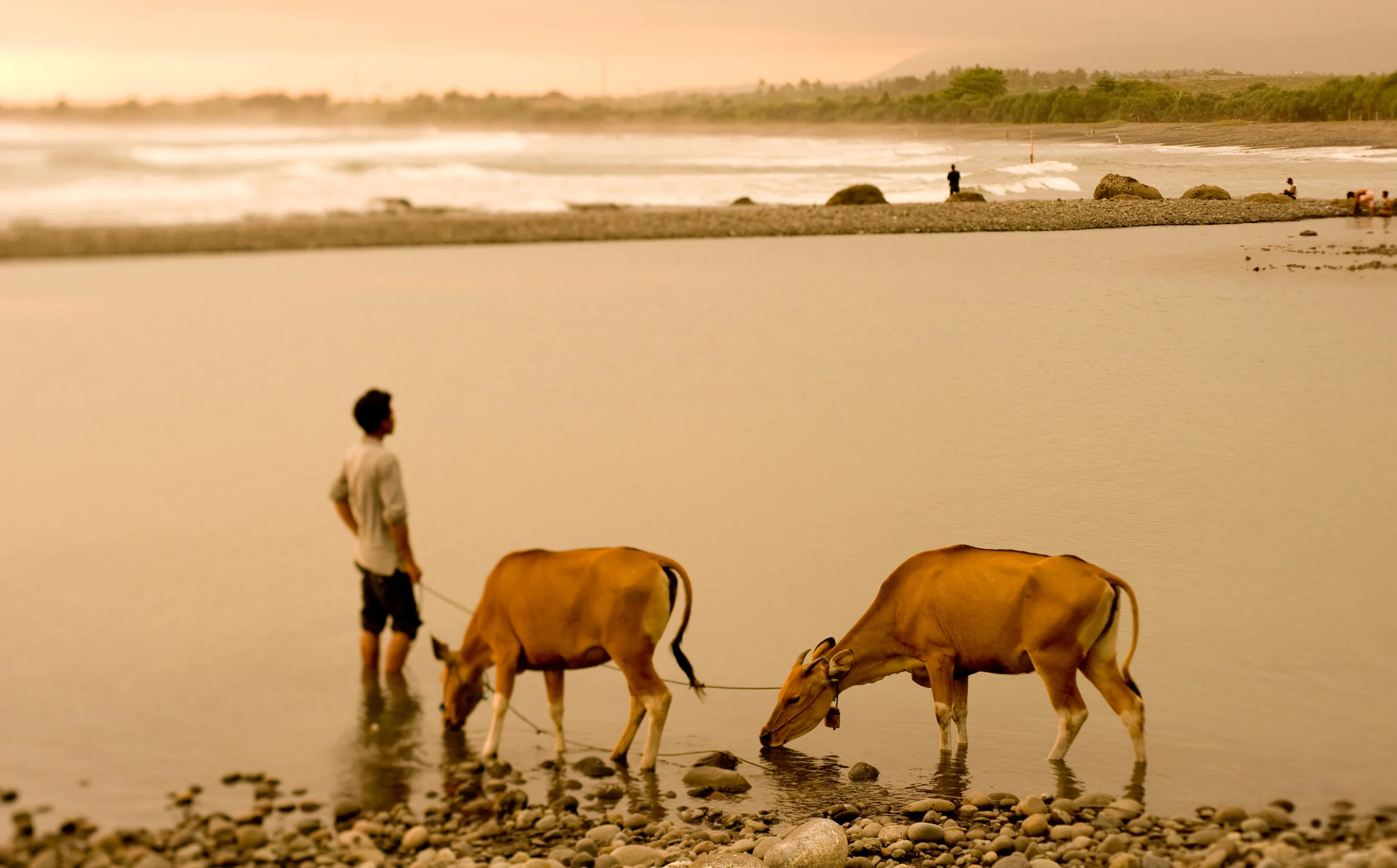 bali.jpg