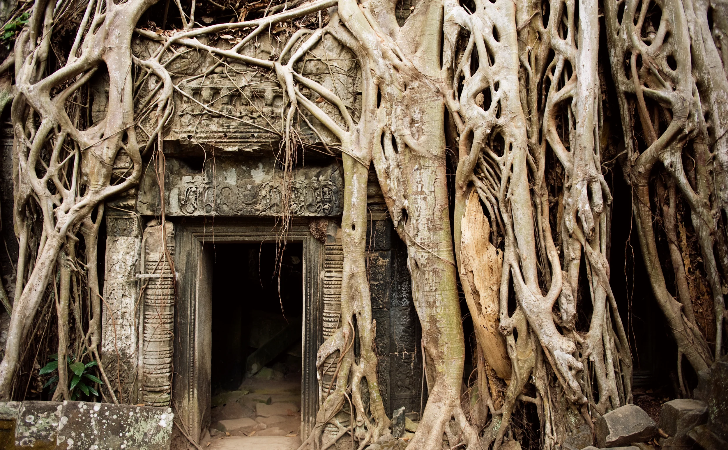 angkor.jpg