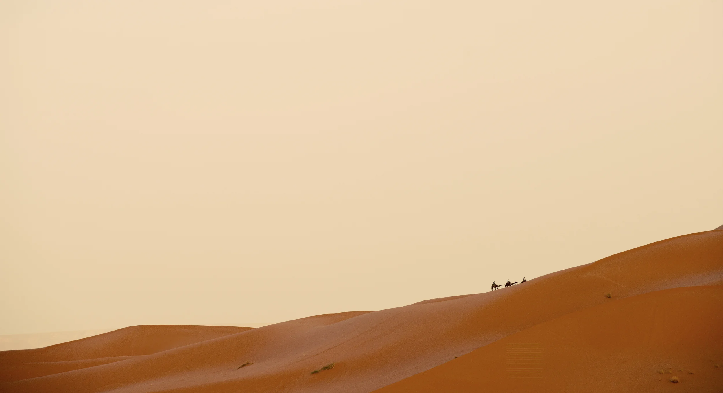 desert.jpg