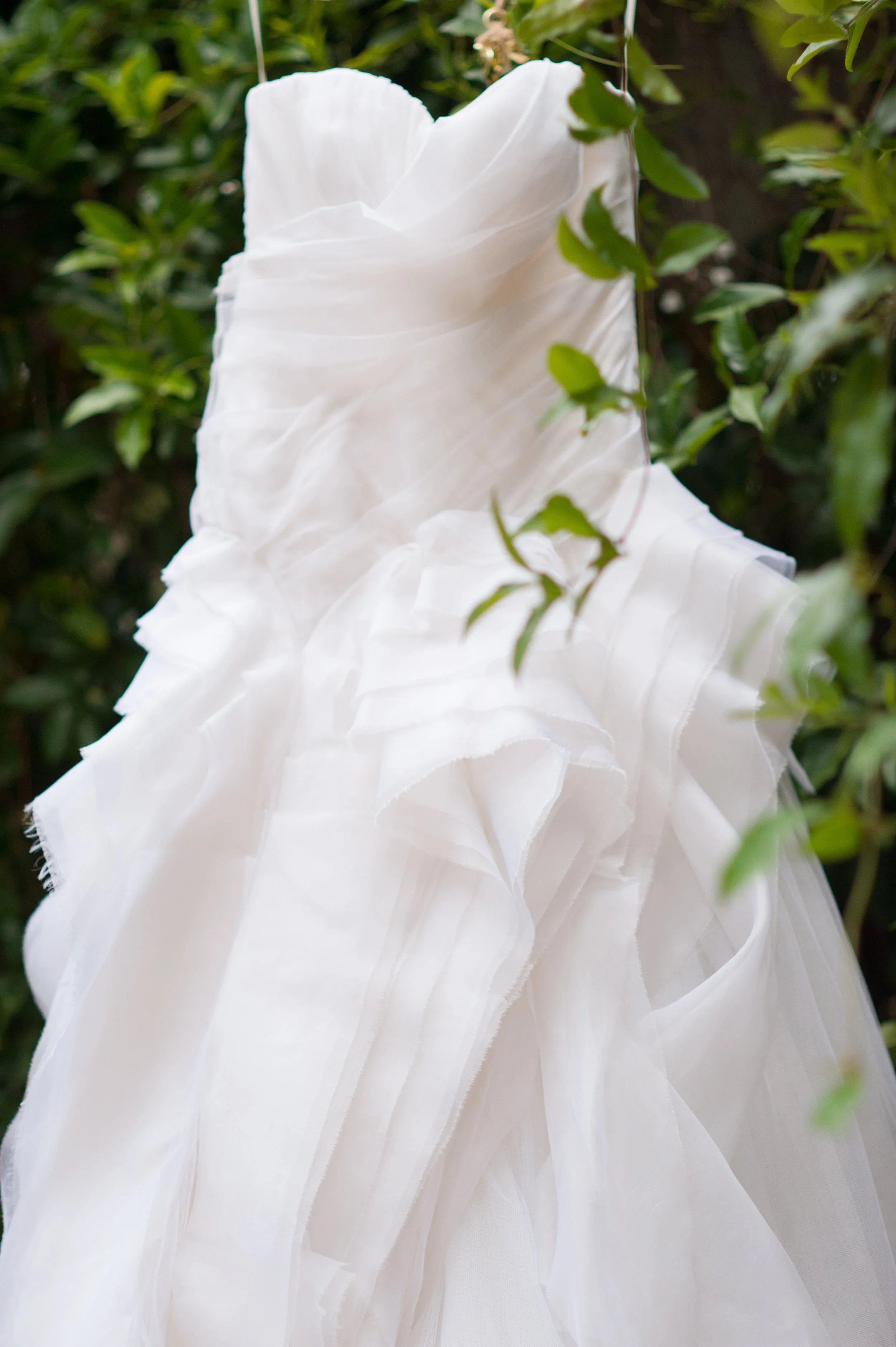 MelissaGidney_JaneOtavio007.jpg