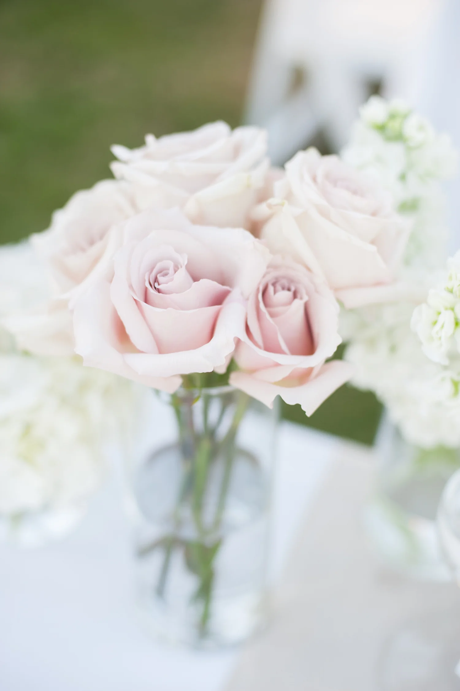Erin&Scott1025.jpg