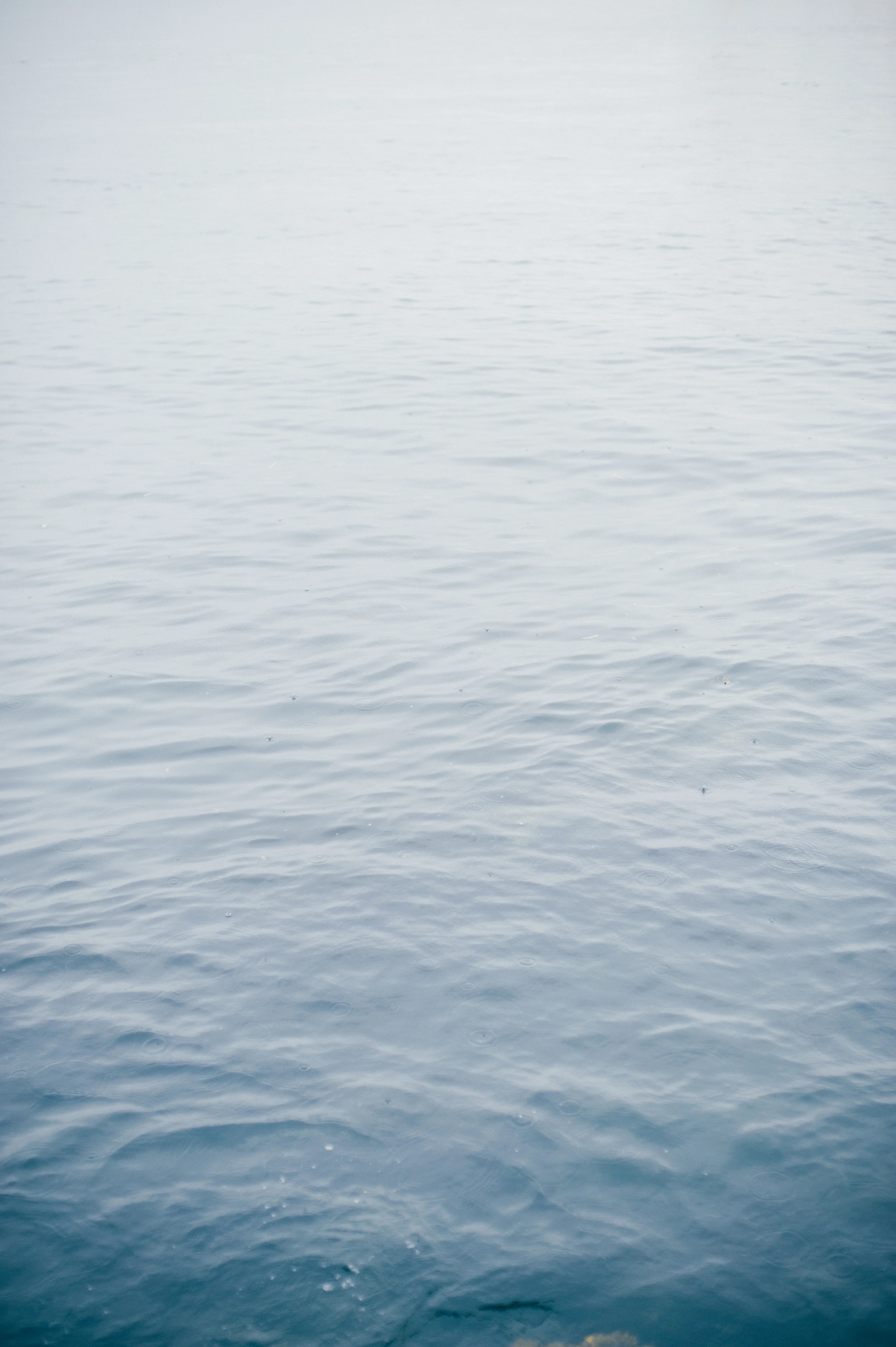 MYG_3519.jpg