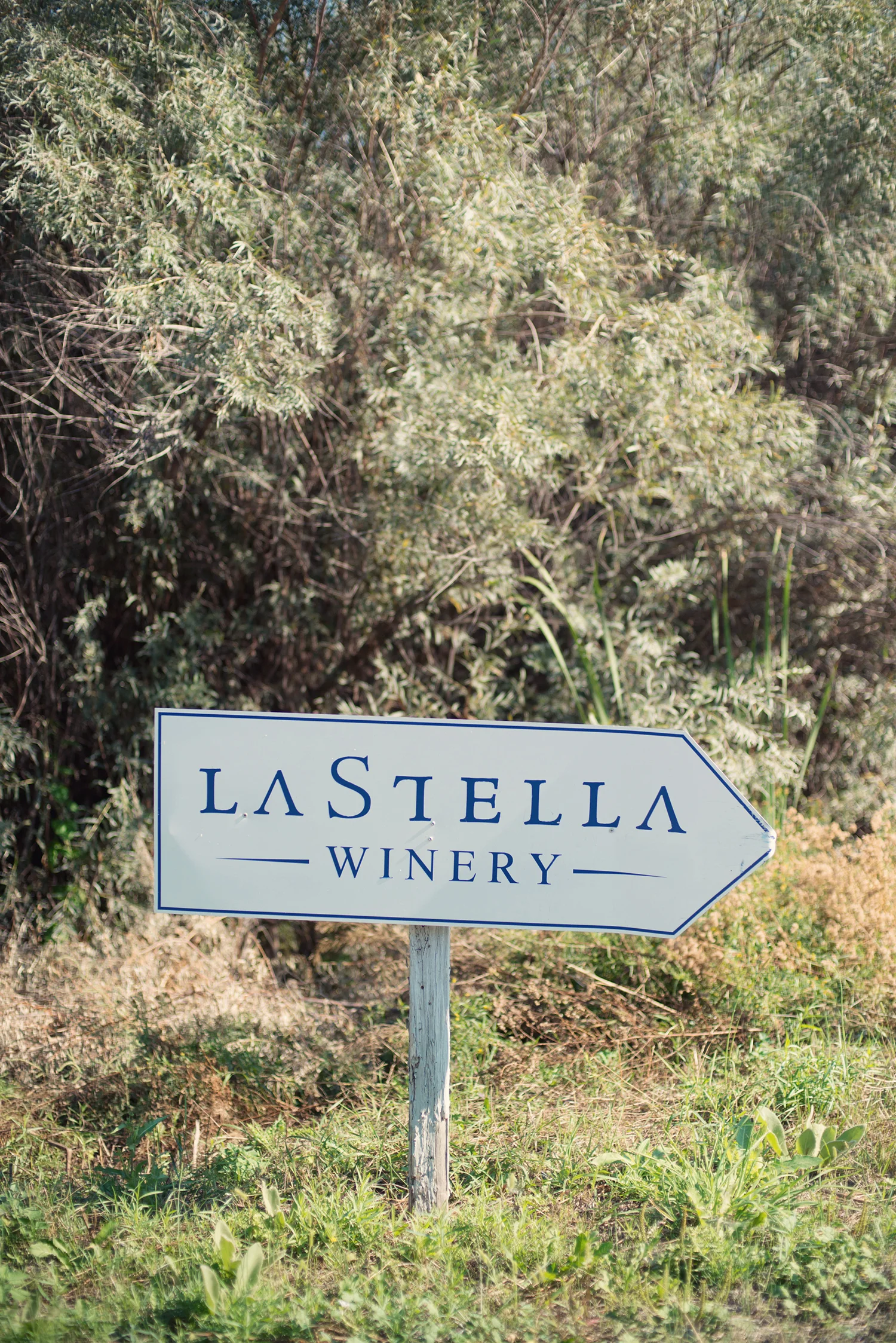 L&G0008.jpg