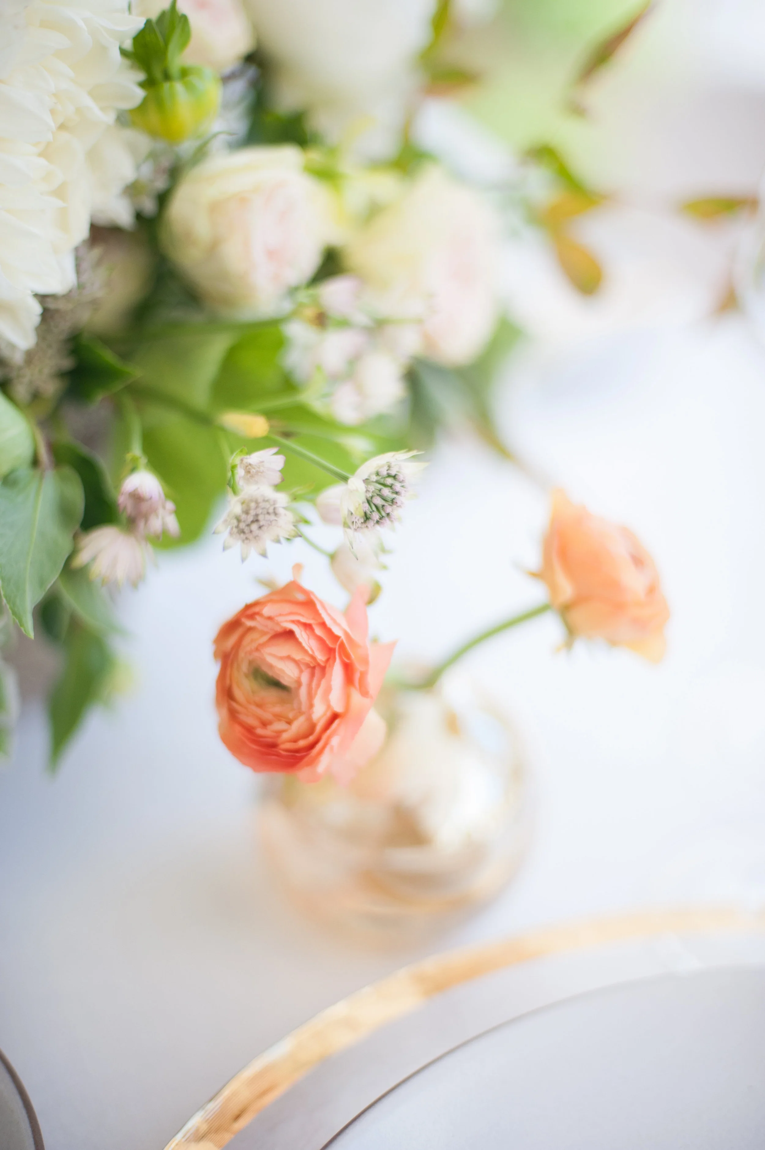 Josh&Michelle_decor060.jpg