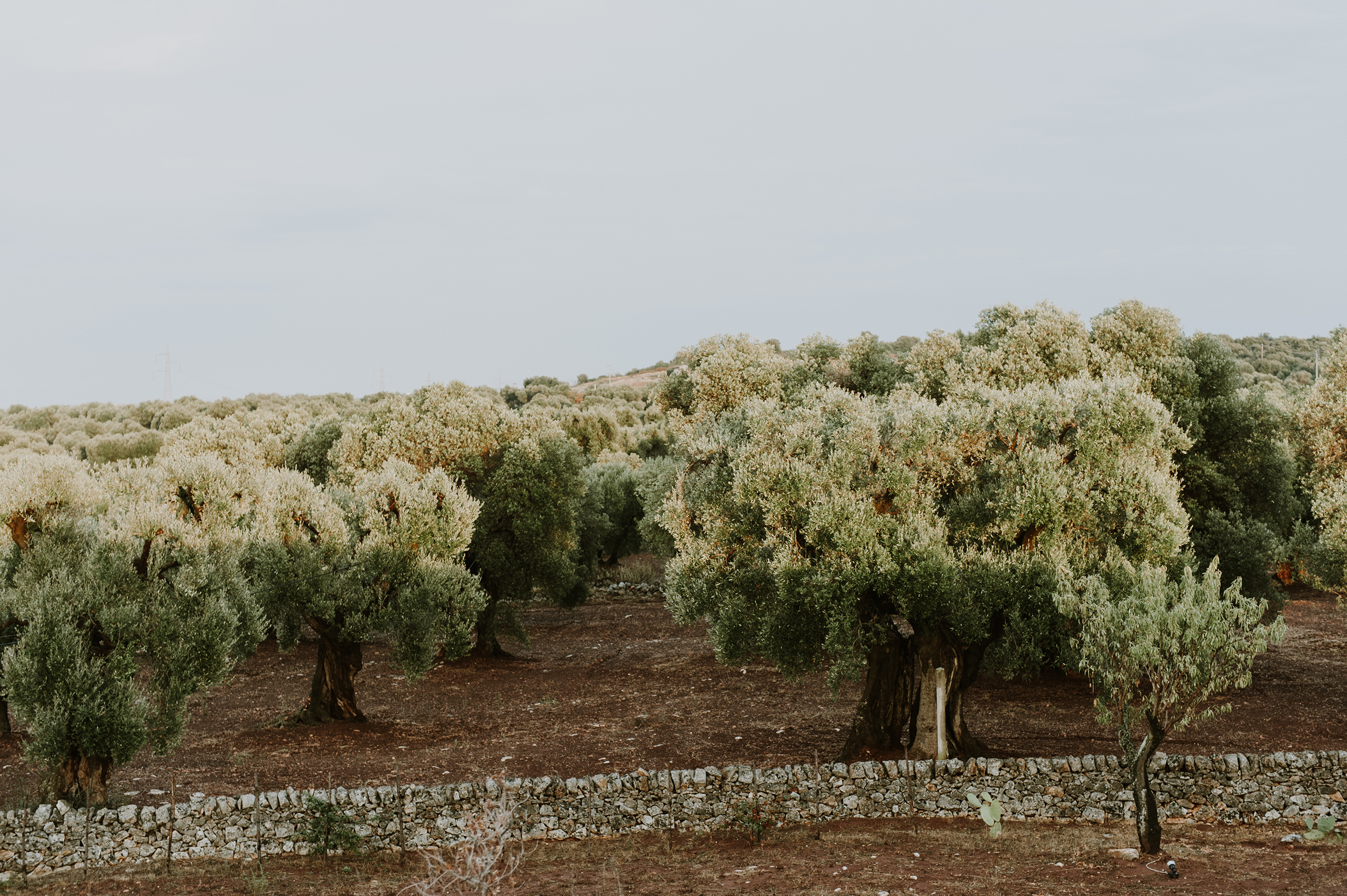 Puglia
