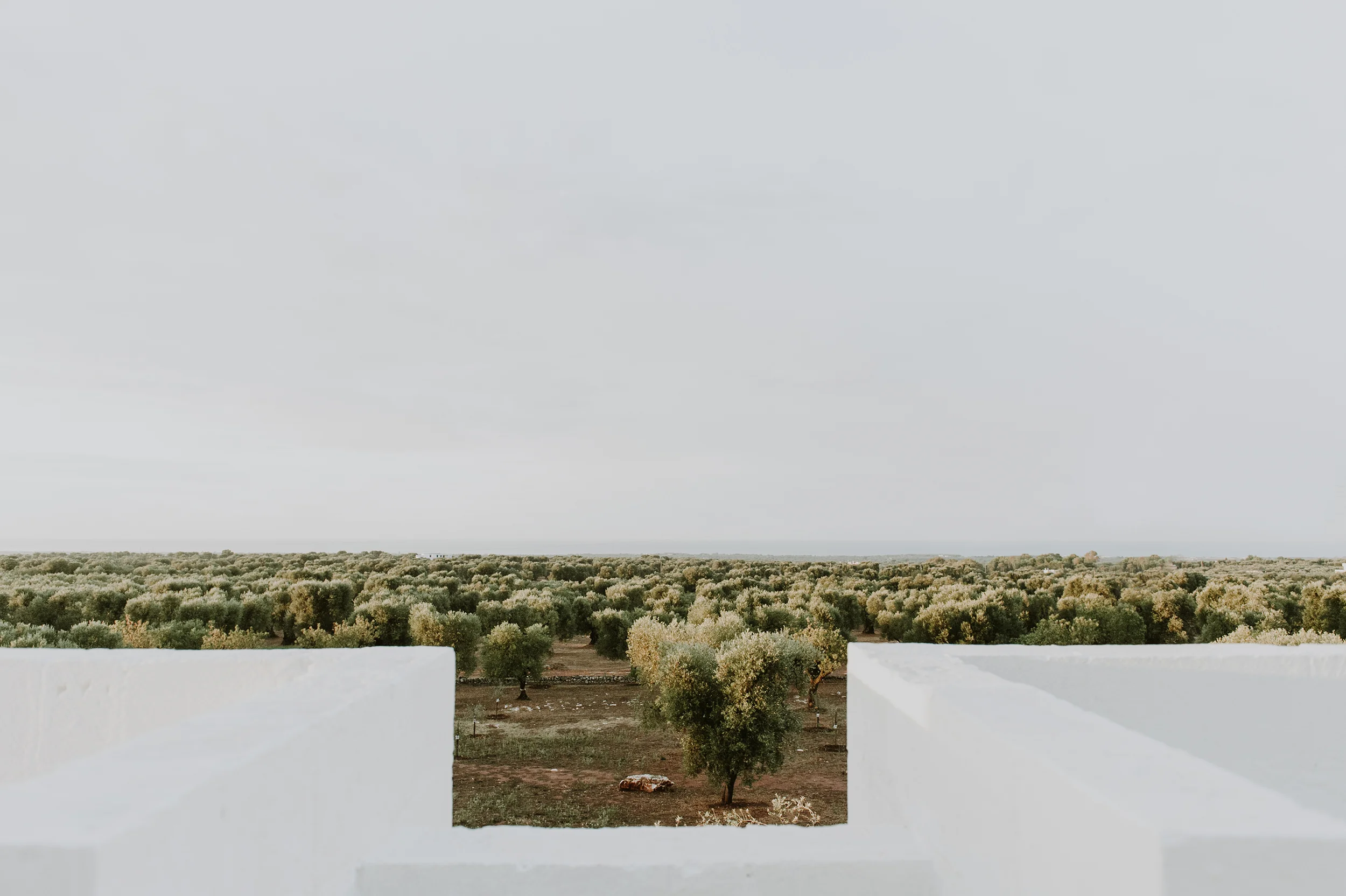 Masseria Moroseta