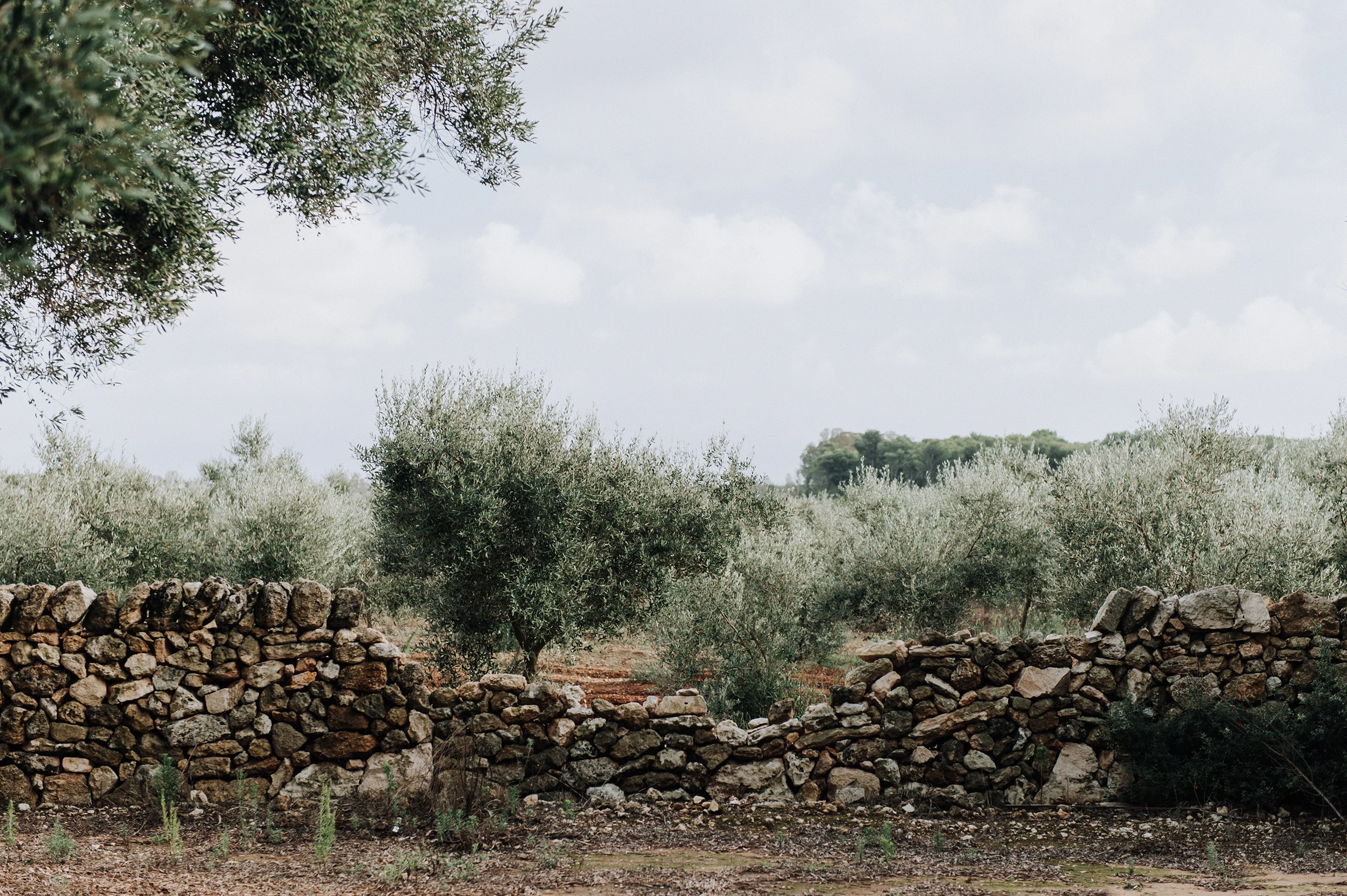 Puglia, Italy