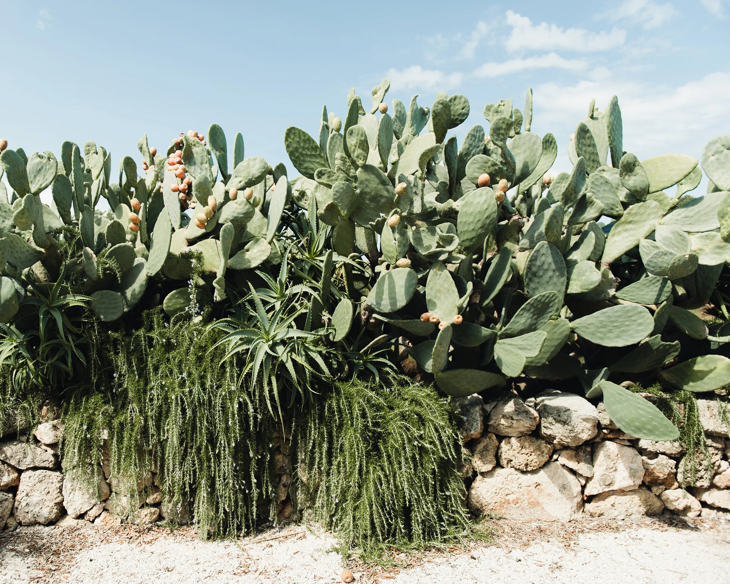 Masseria Cimino