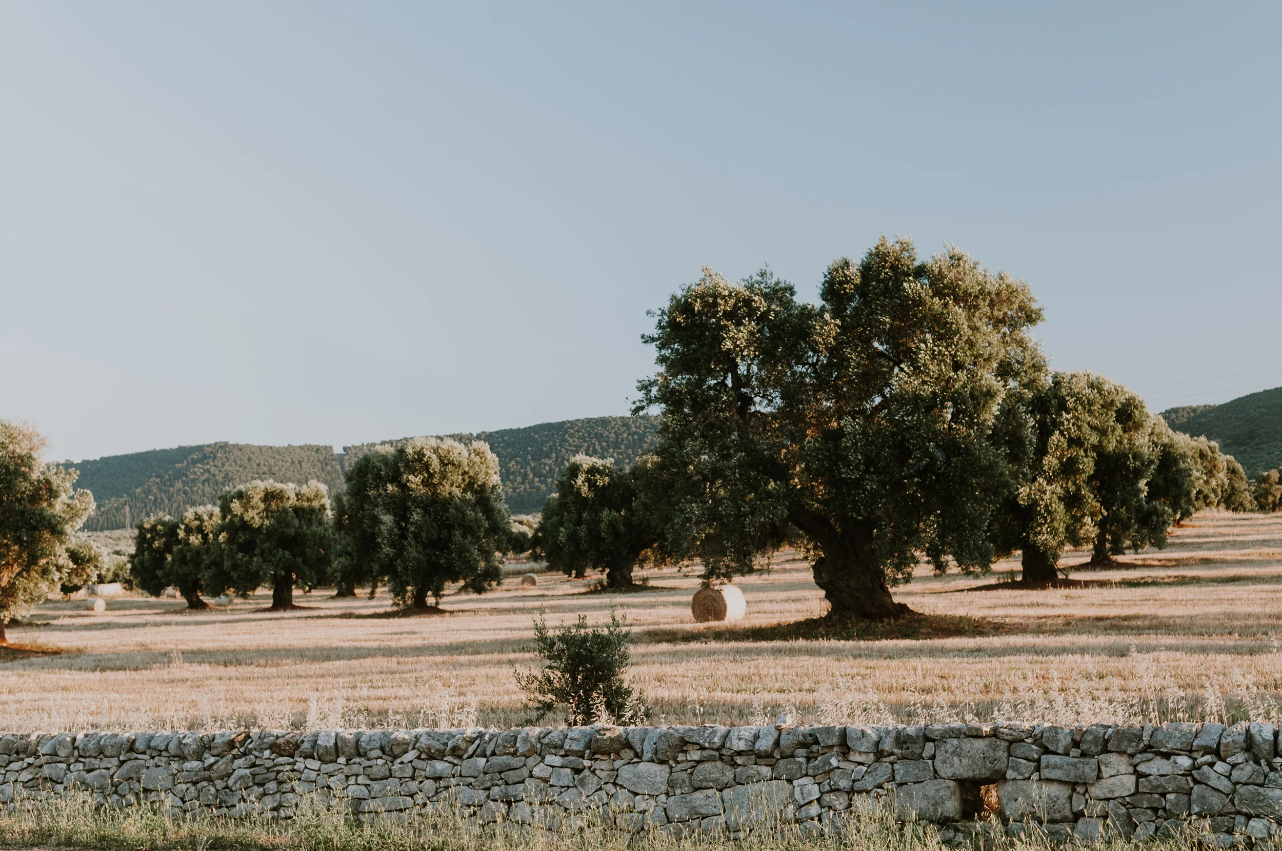 Puglia, Italy