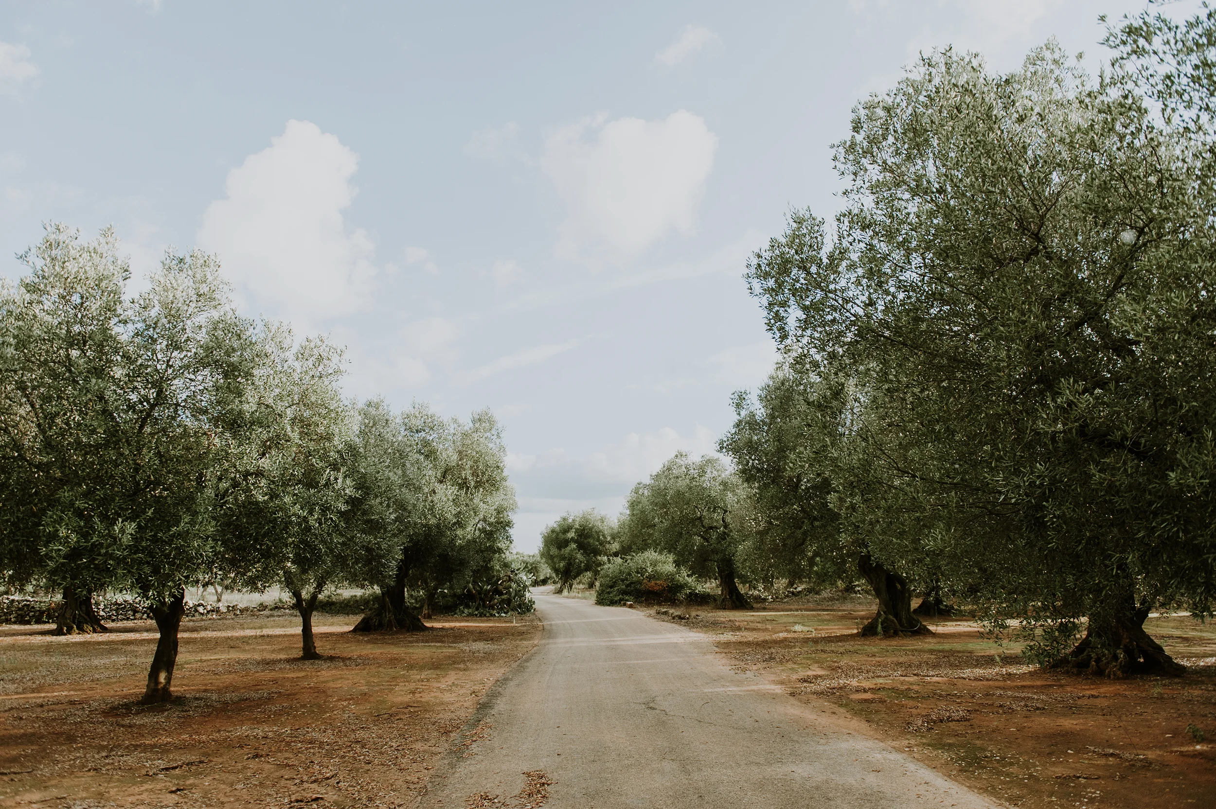 Puglia, Italy