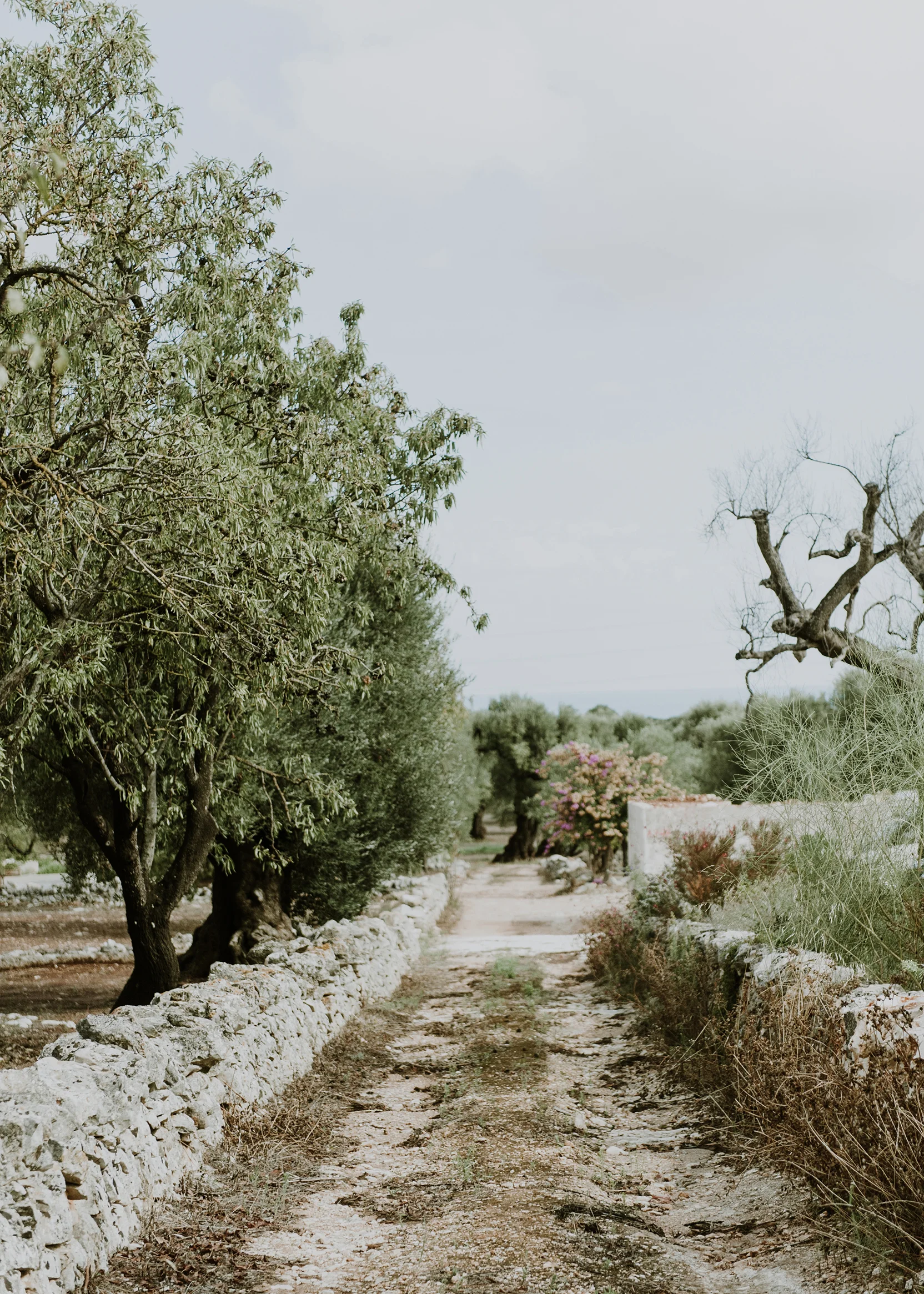Melissa Gidney Daly _ italy45.jpg