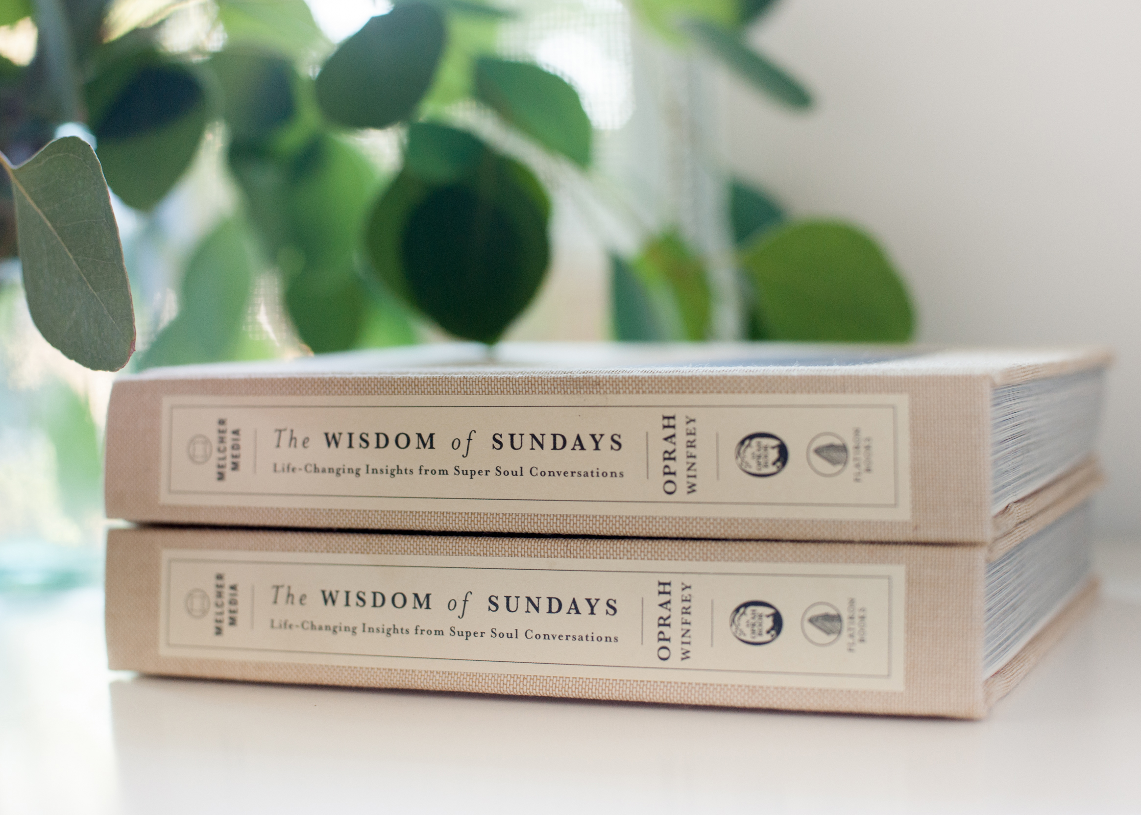 Melissa Gidney Daly_The Wisdom of Sundays 8.jpg
