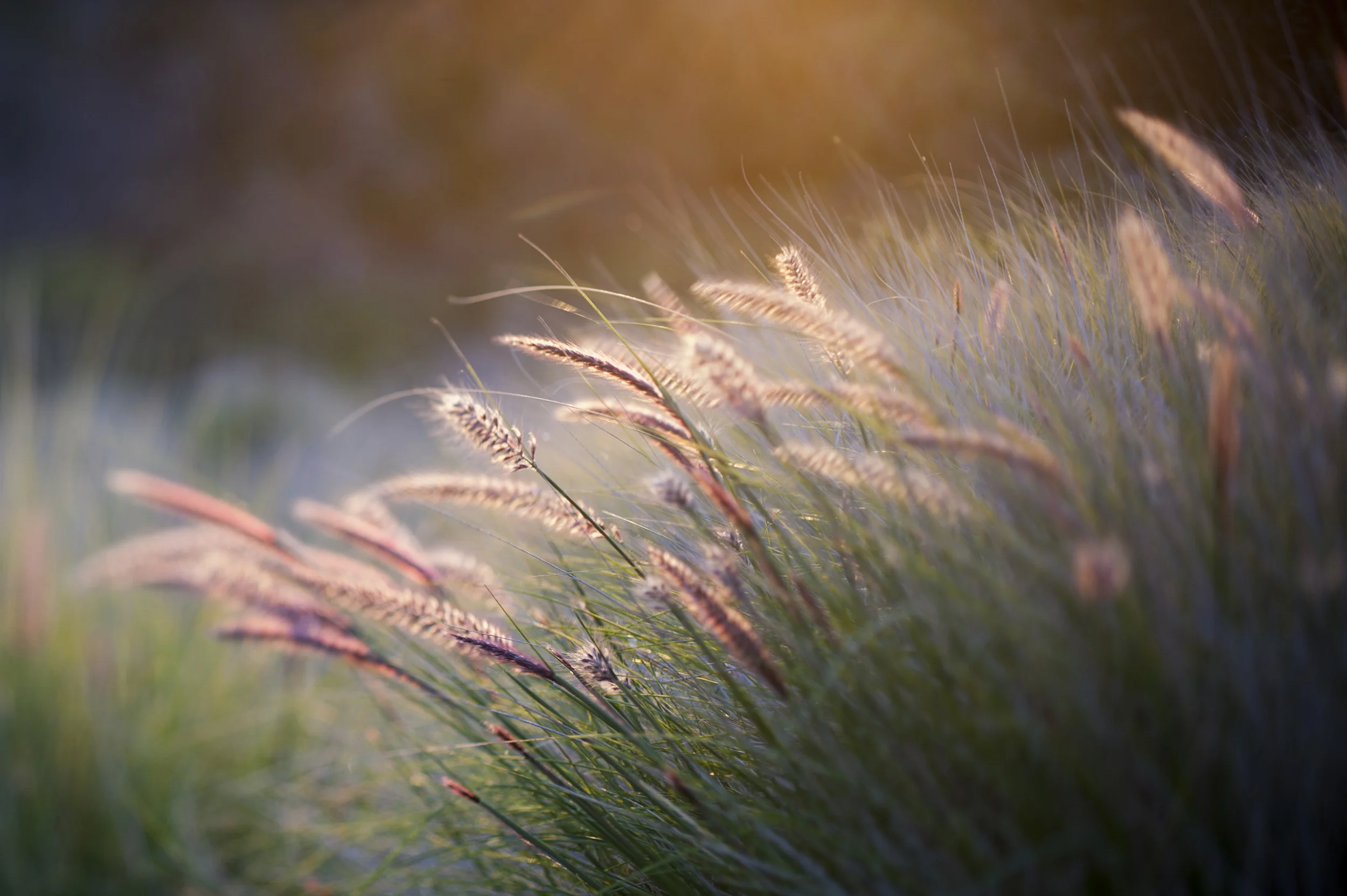 Melissa Gidney Daly _ The Wisdom of Sundays _ Oprah Winfrey09.jpg