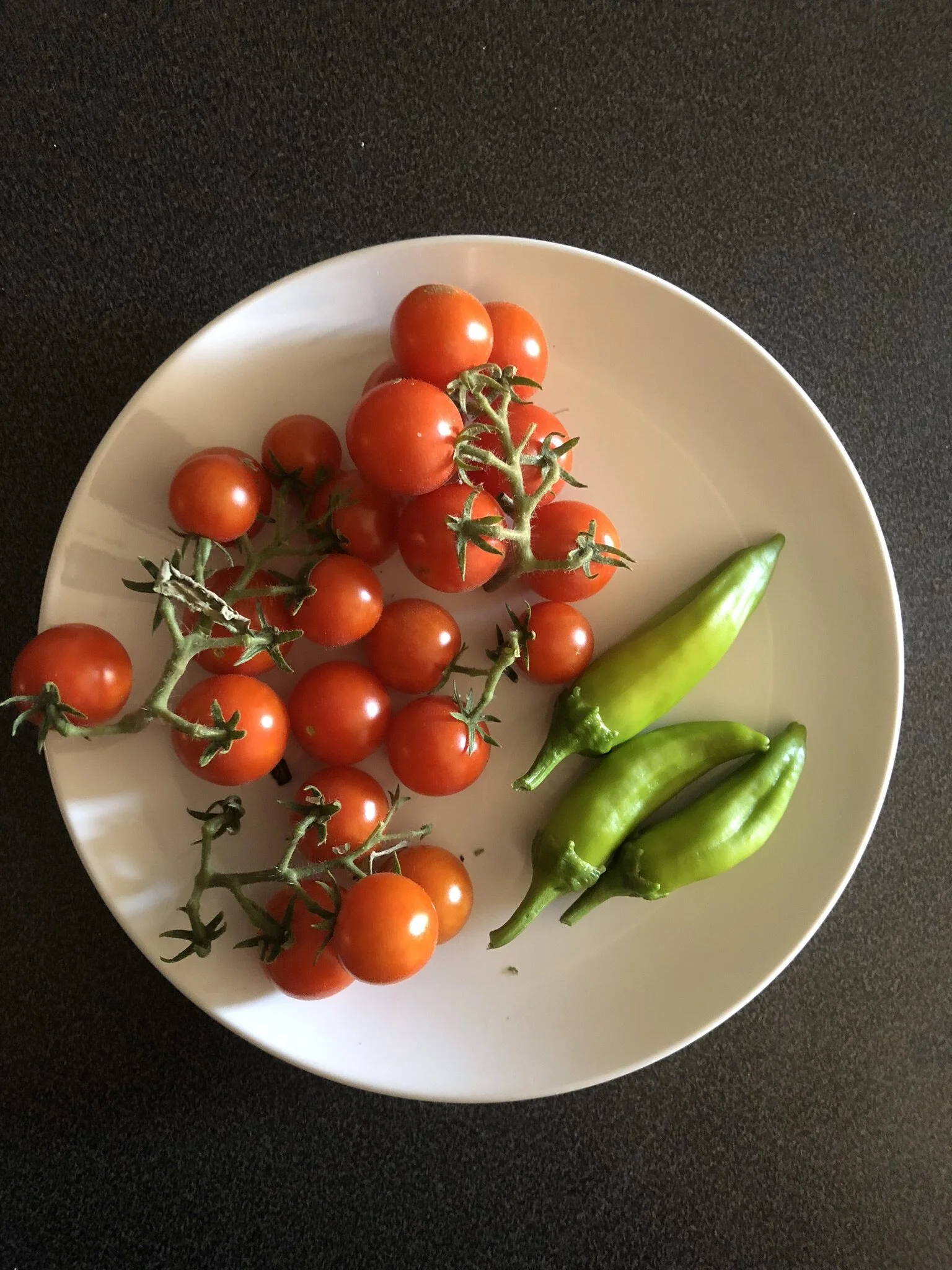 Daily Harvest