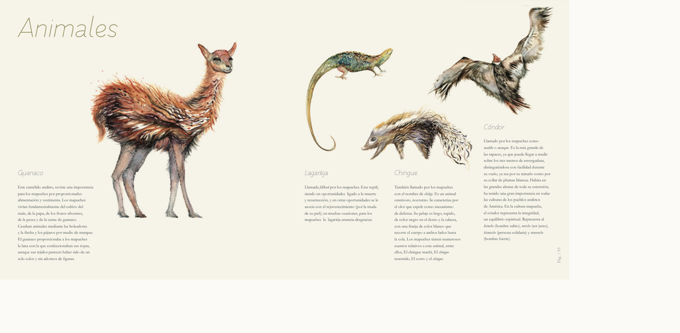 BESTIARIO. LIBRO MAPUCHE