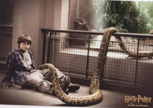 Worship: Less Zoo, More Petting Zoo