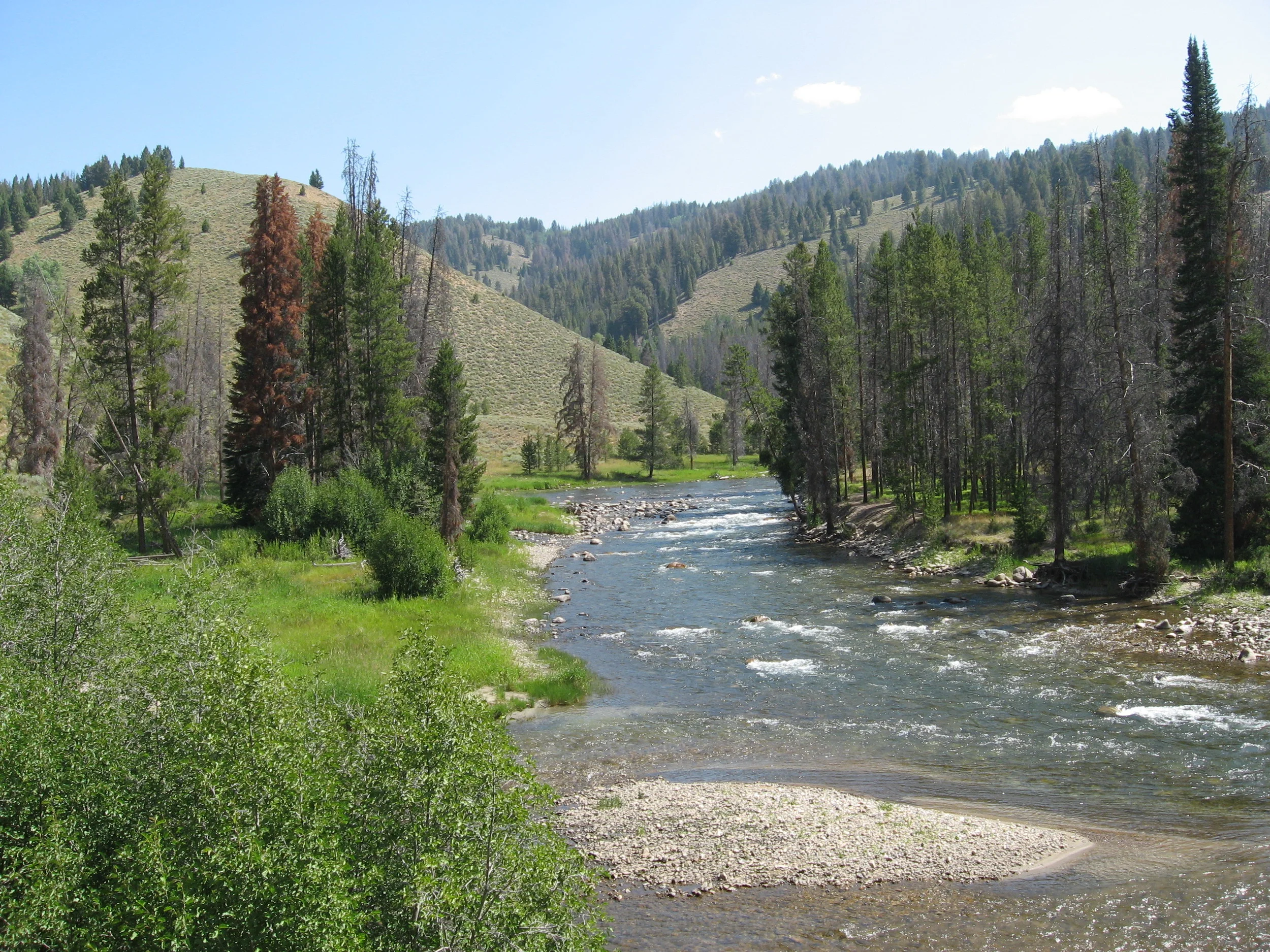 "Salmon River" by Fredlyfish4 at the English language Wikipedia. Licensed under CC BY-SA 3.0 via Wikimedia Commons - http://commons.wikimedia.org/wiki/File:Salmon_River.JPG#/media/File:Salmon_River.JPG