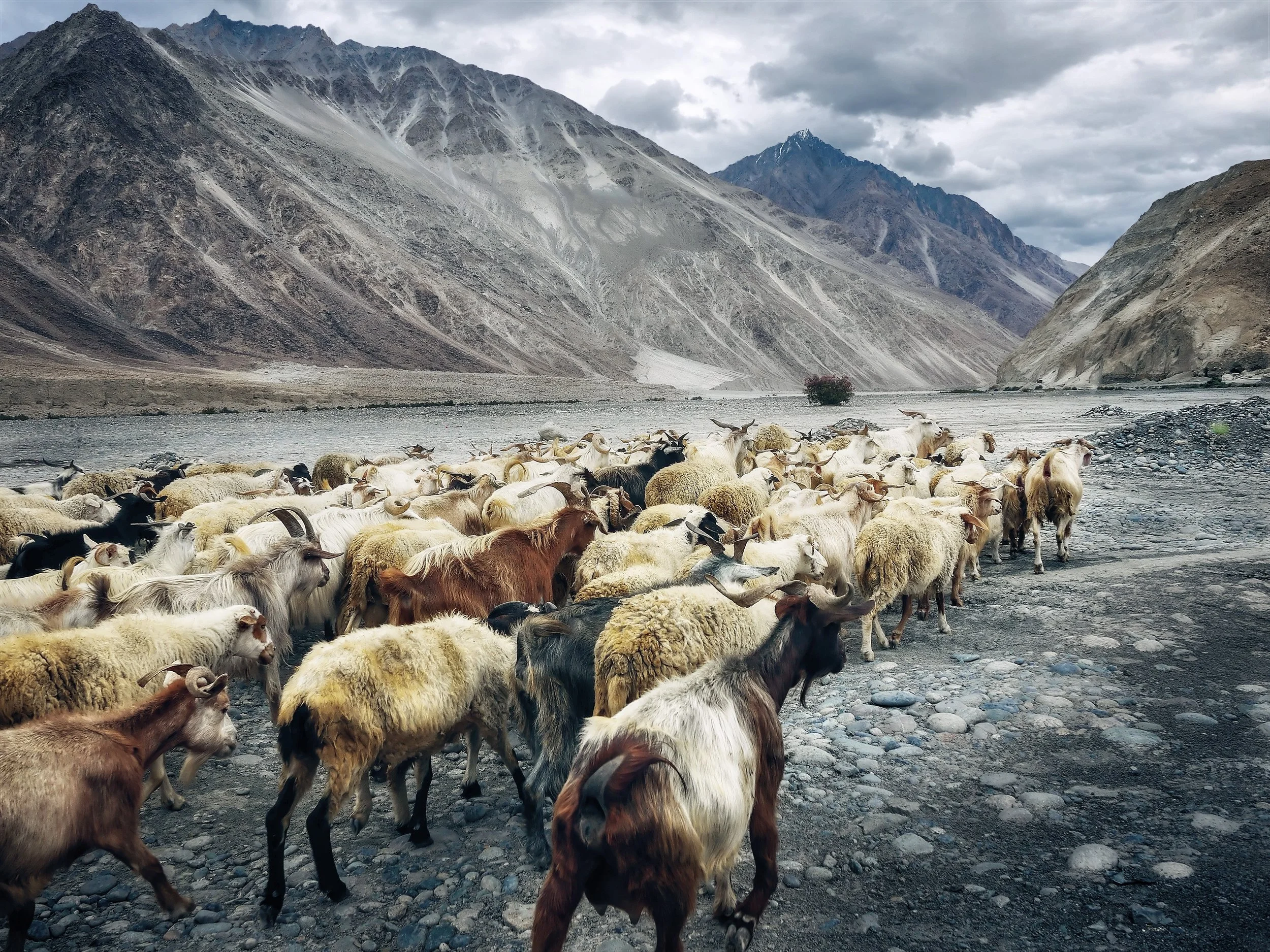 Photo by Simon Matzinger on Unsplash