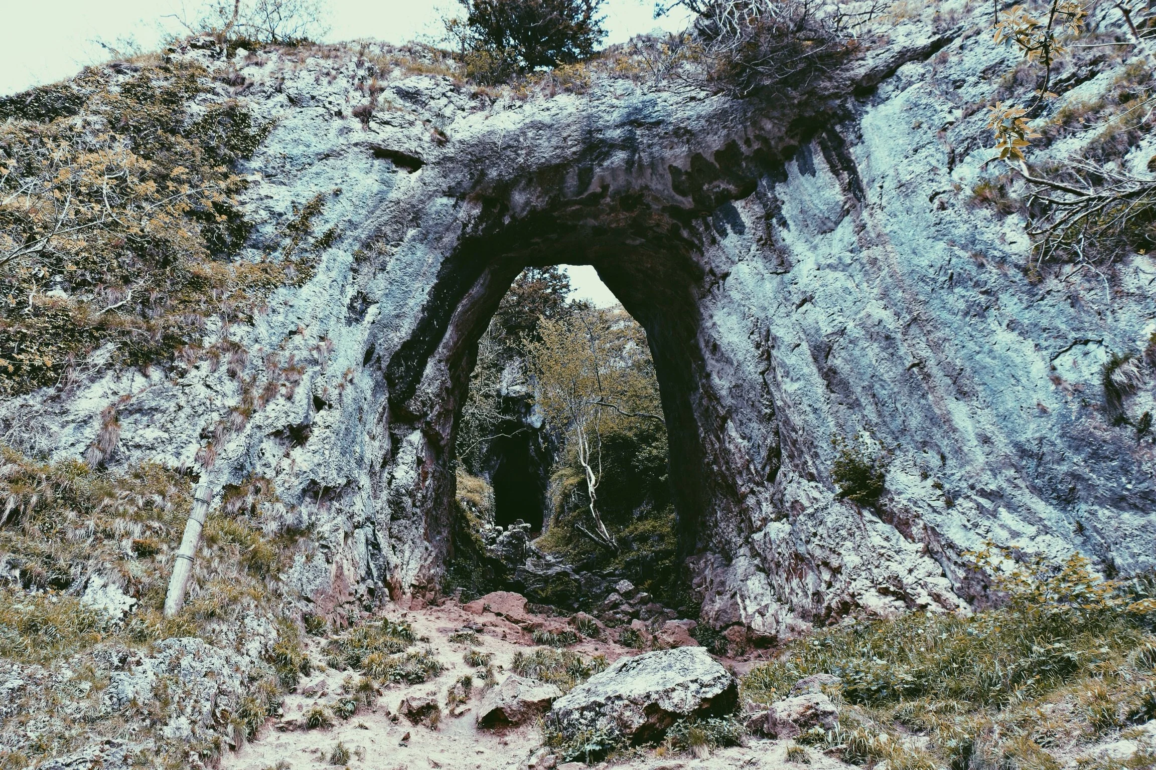 Photo by Jacob Aguilar-Friend on Unsplash