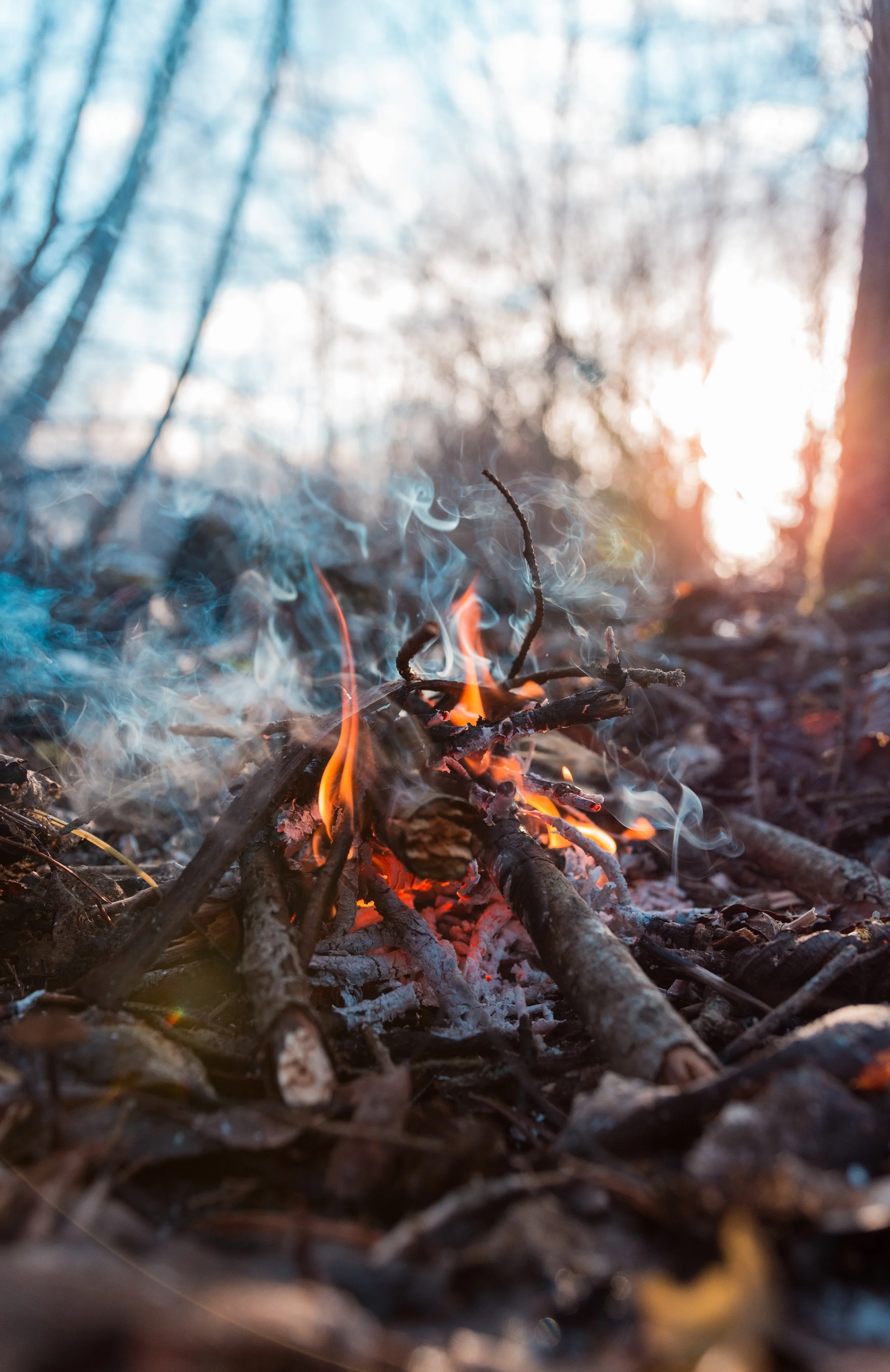 Photo by Siim Lukka on Unsplash