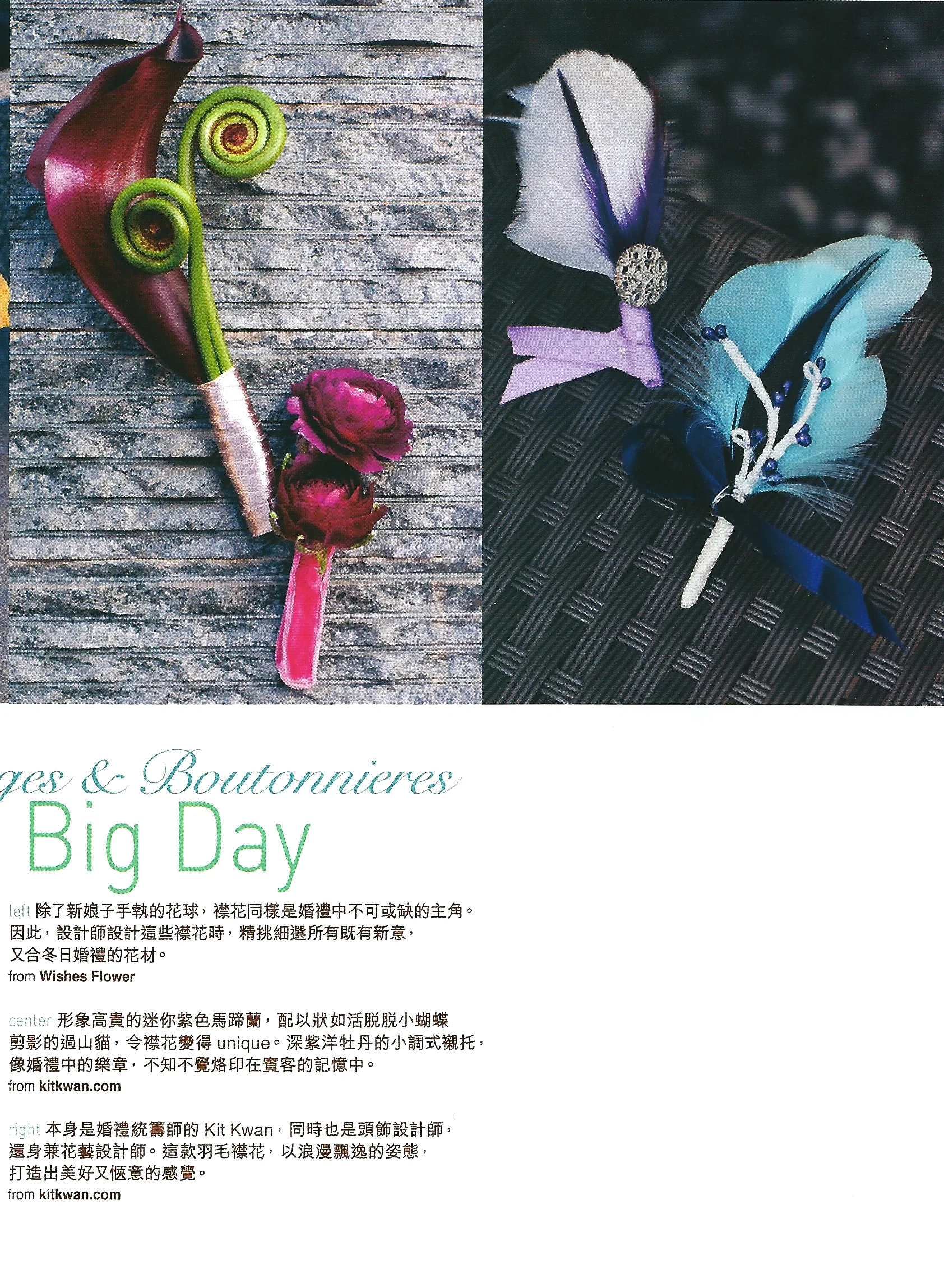 Cosom bride Nov 12-2.jpg