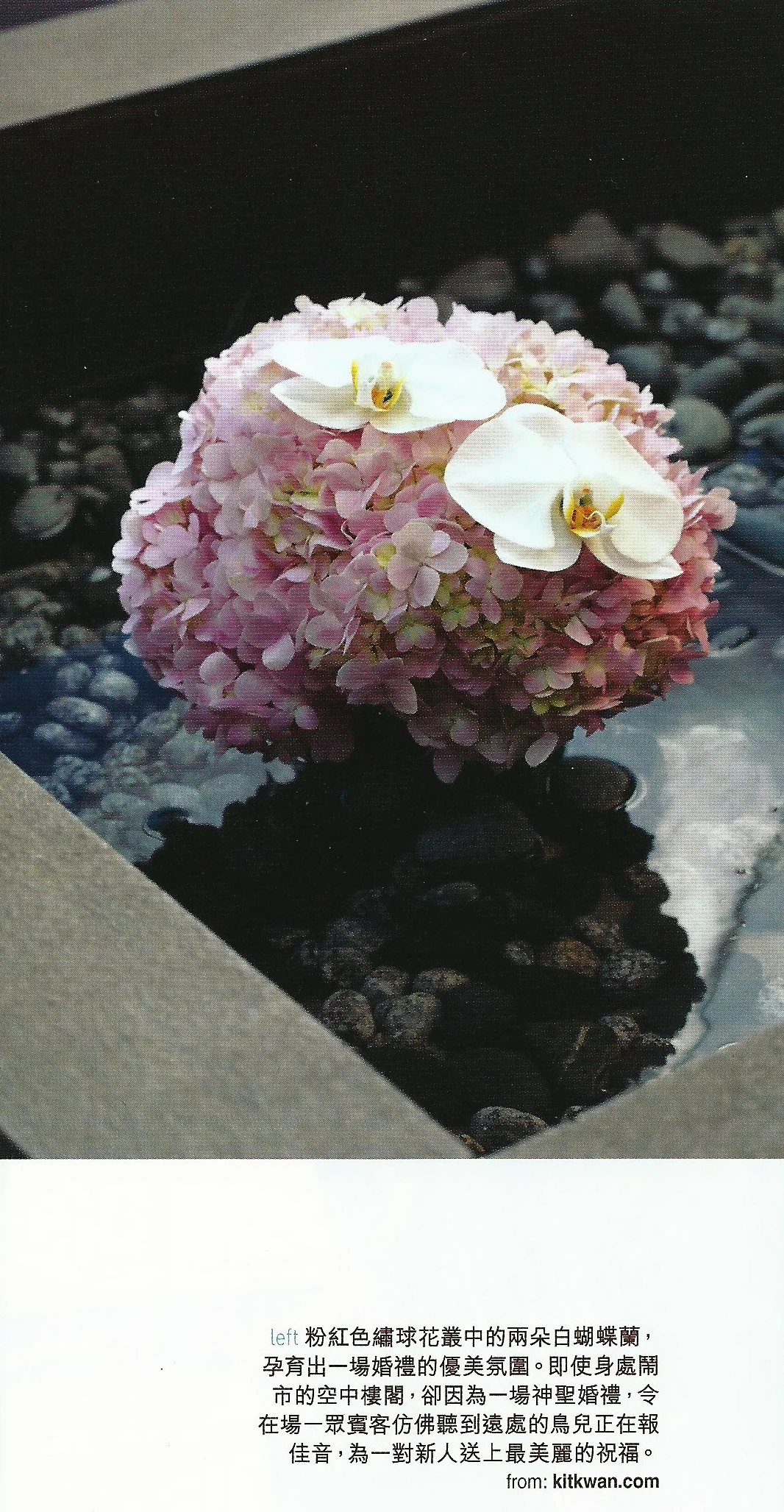 Cosom bride Nov 12-10.jpg