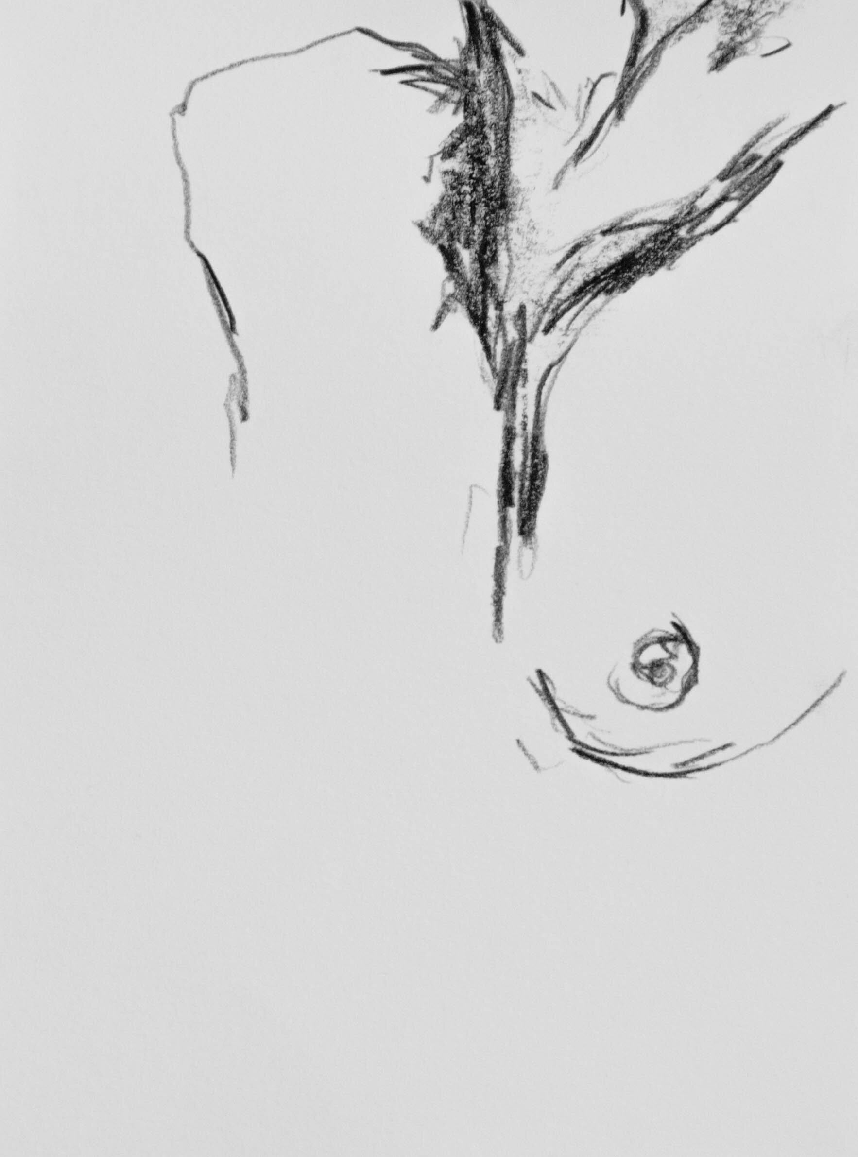  charcoal on paper, 18x13 cm, 2018 