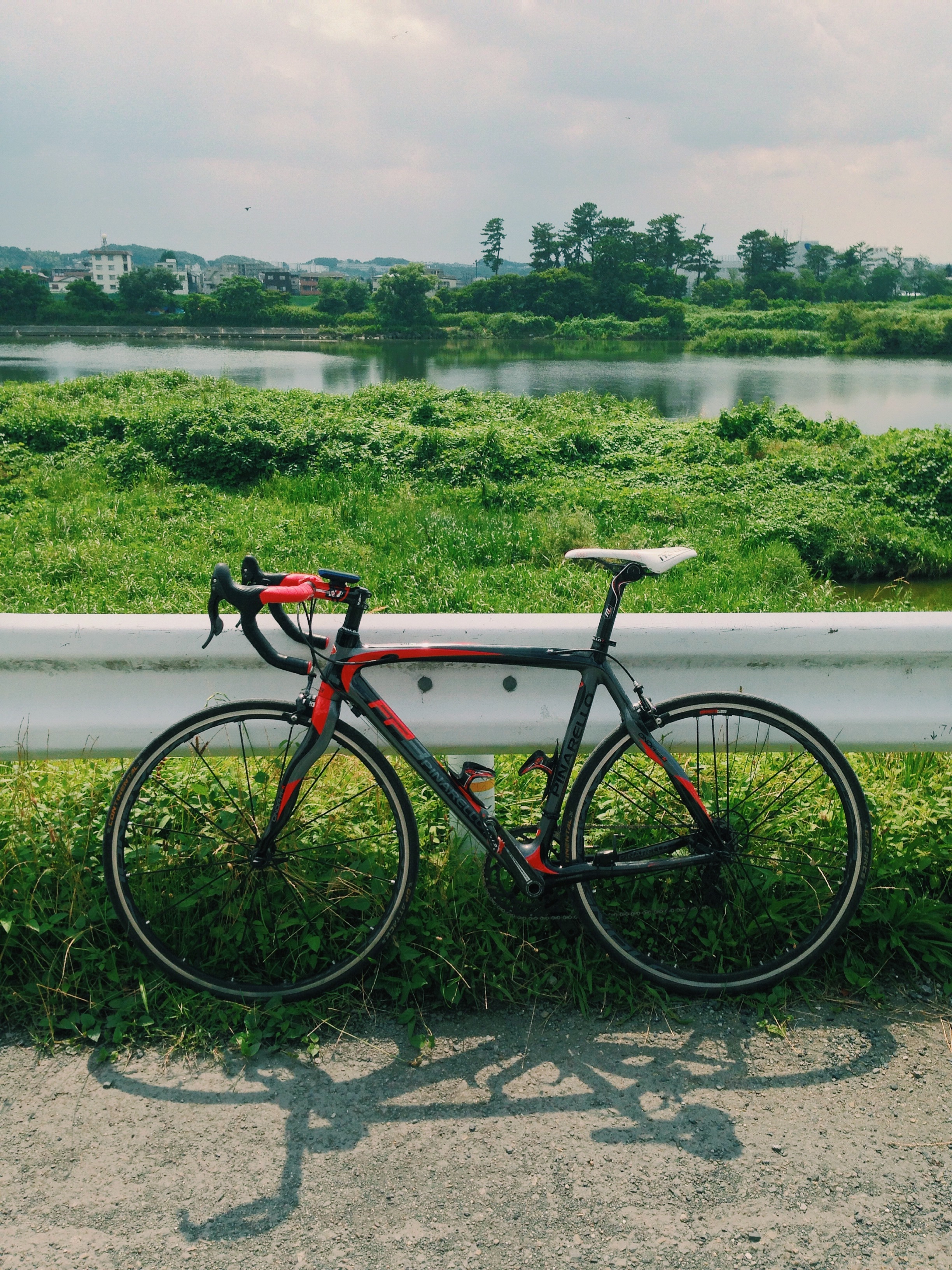 Pinarello FP3, Campagnolo Super Record, Campagnolo Shamal Ultra Wheels